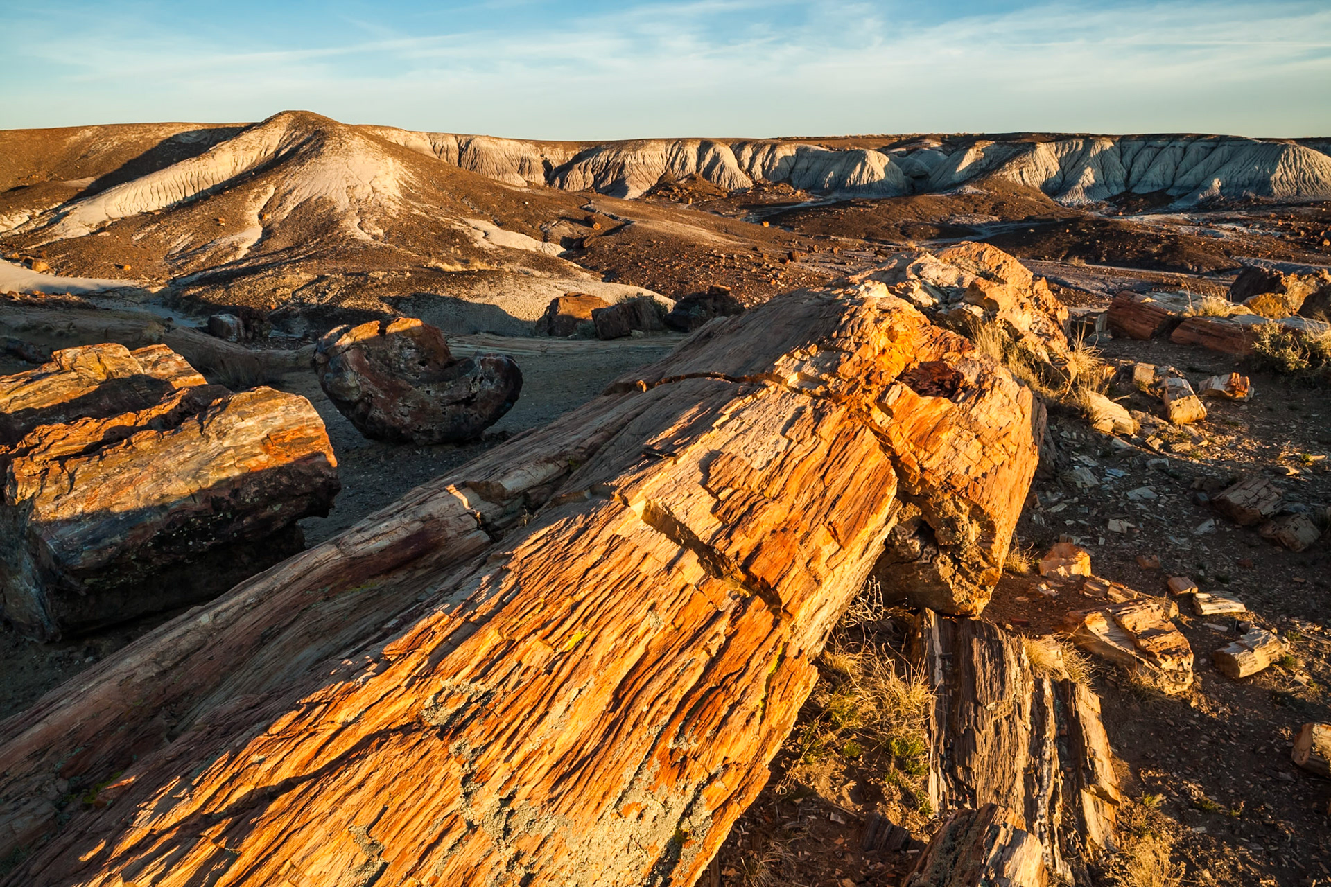 Sunset at Petrified Forest National Park, Crystal Forest, AZ, USA