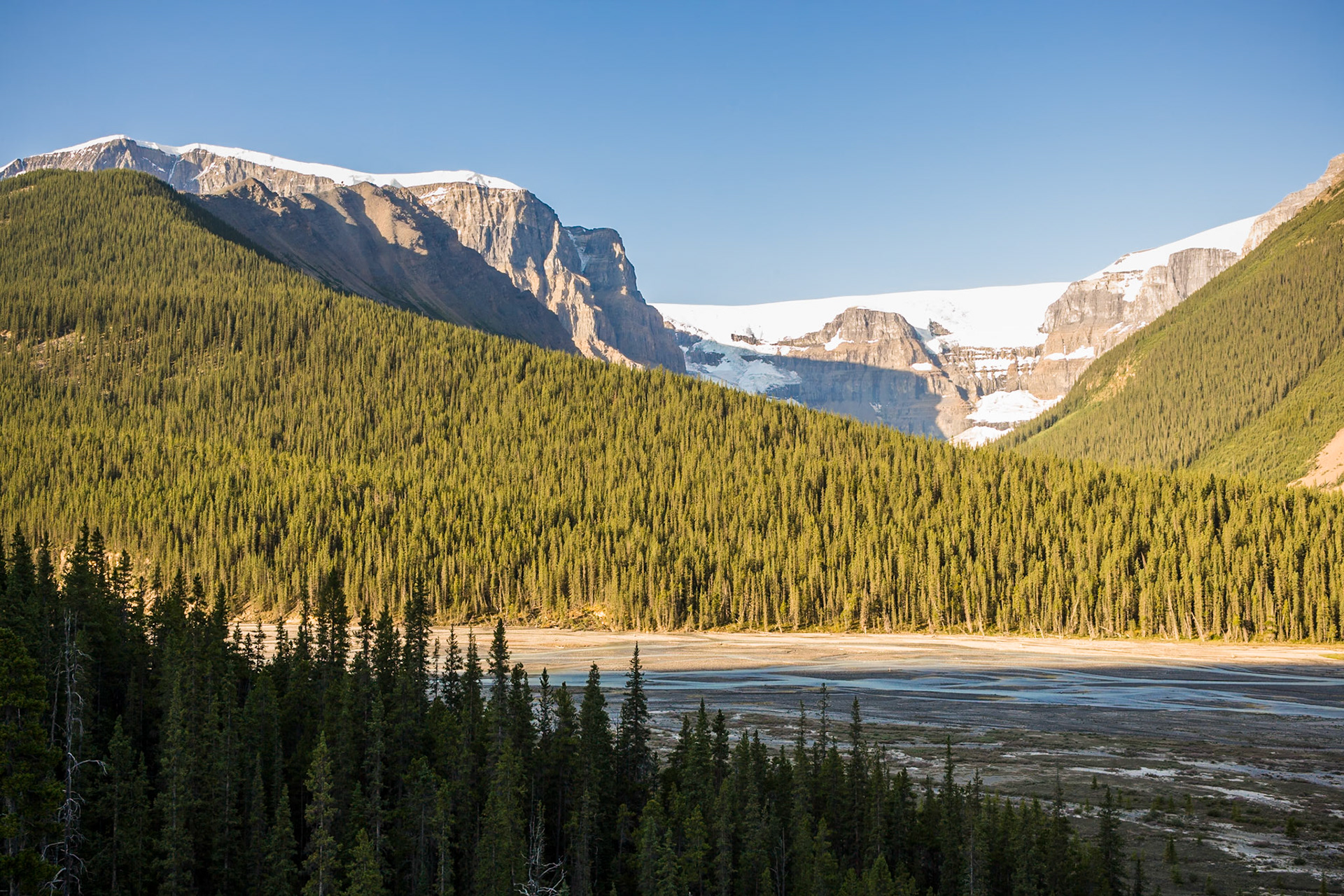 Stutfield Glacier, Columbia Icefield, Jasper NP, Alberta, CA