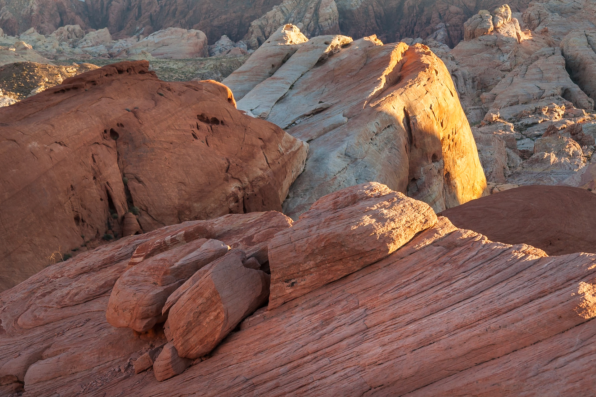 Sunset on red and white rocks at Valley of Fire State Park, UT, USA
