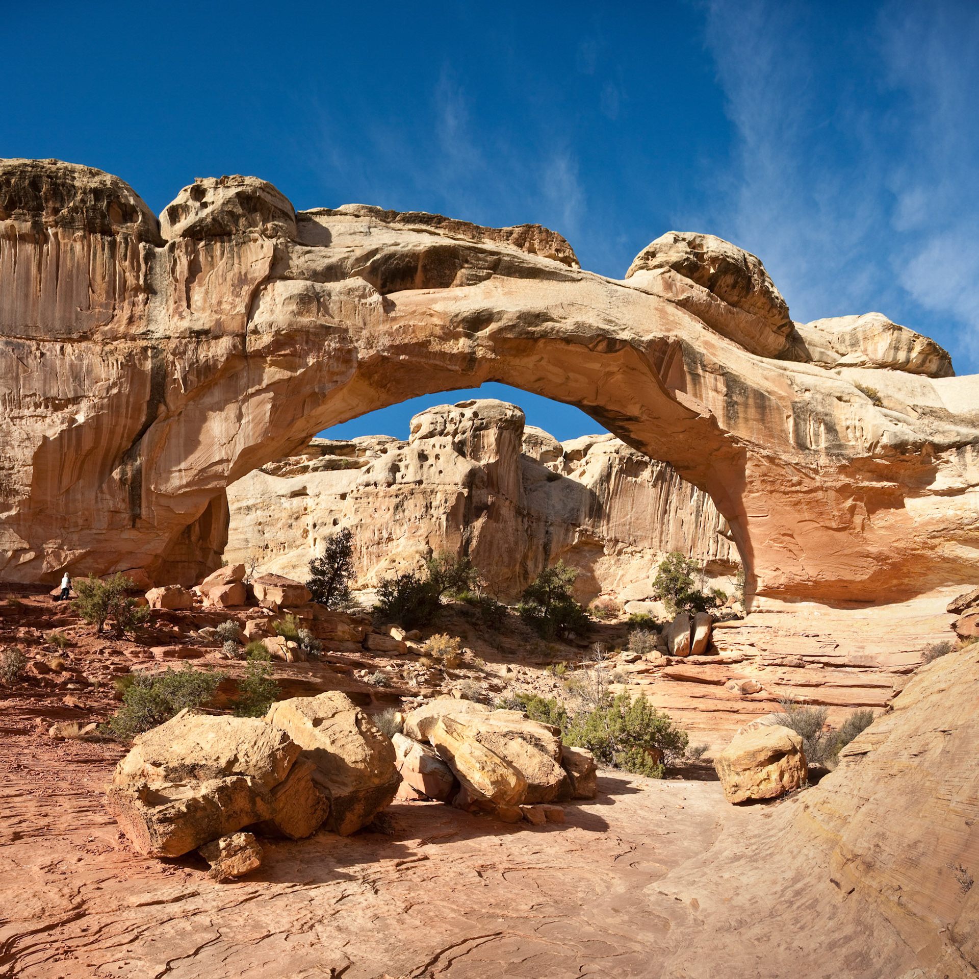 Woman is taking pictures of Hickman Natural Bridge, Capitol Reef Nat'l Park, Utah, USA