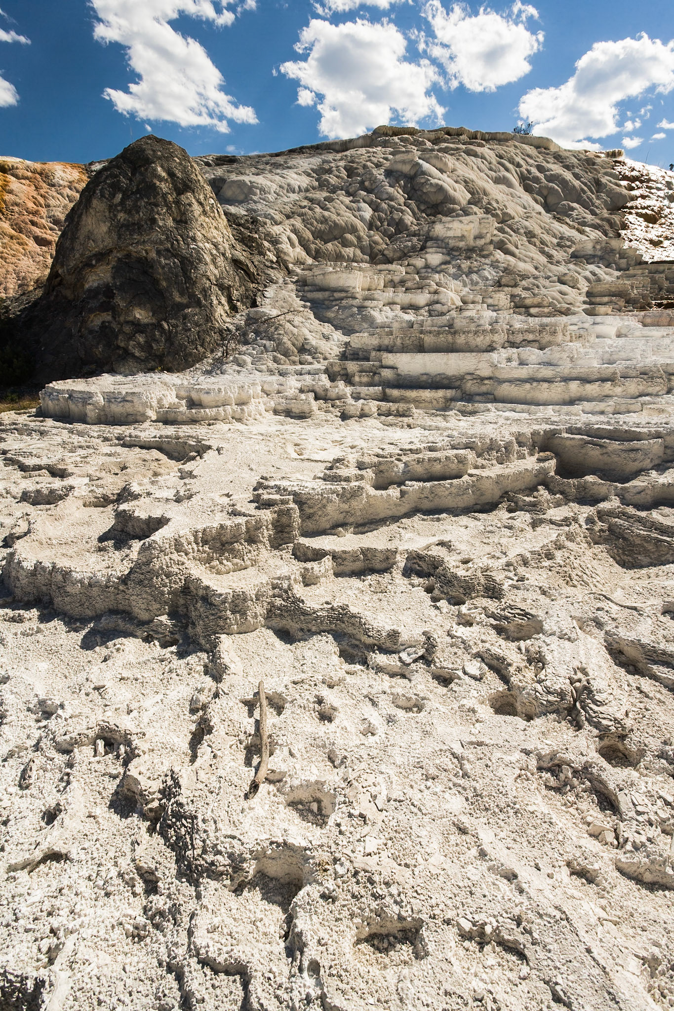 Palette Spring at Mammoth Hot Springs  in Yellowstone National Park Wyoming, USA