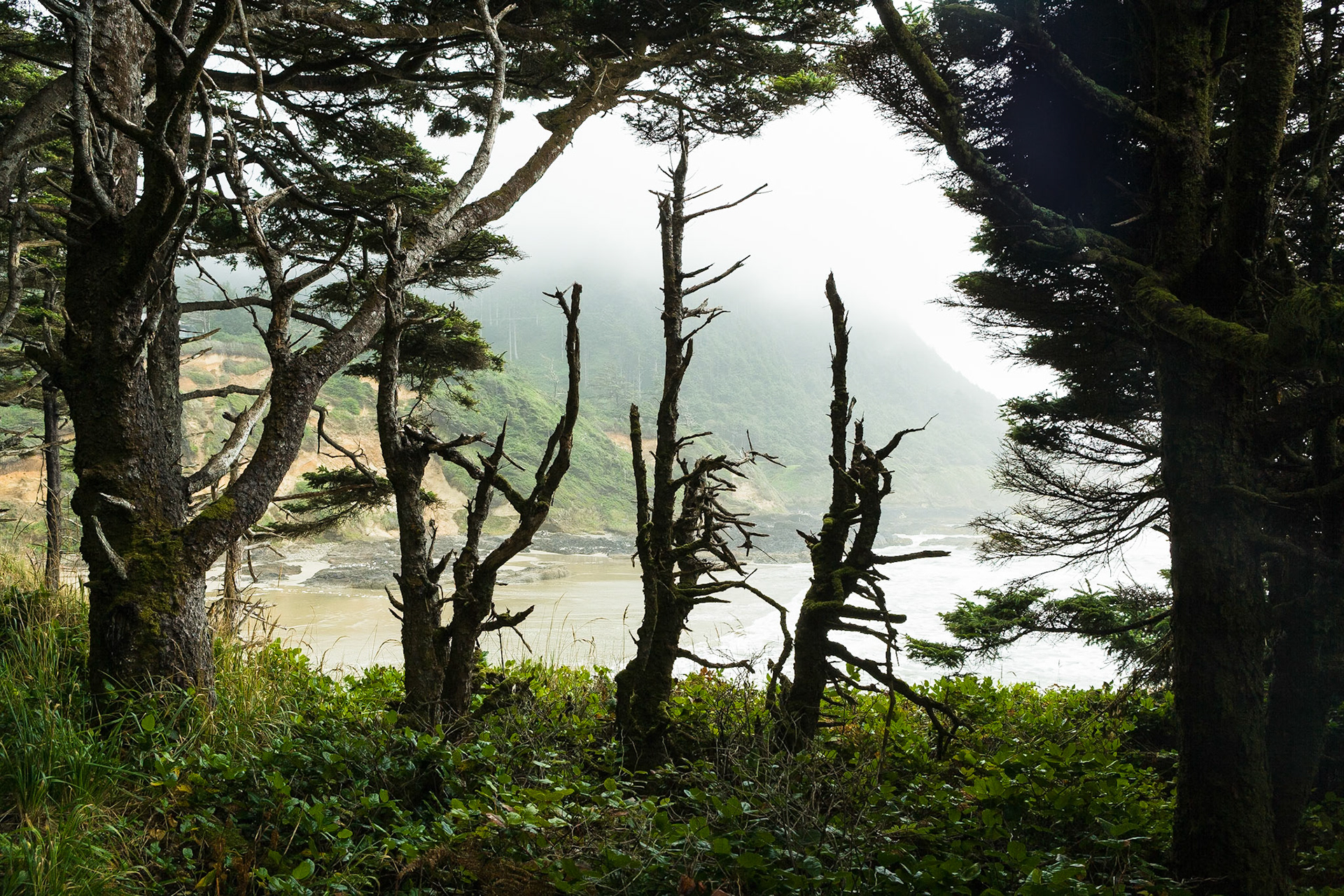 Fog at Devil's Churn at the coast of Oregon, Hwy 101, USA
