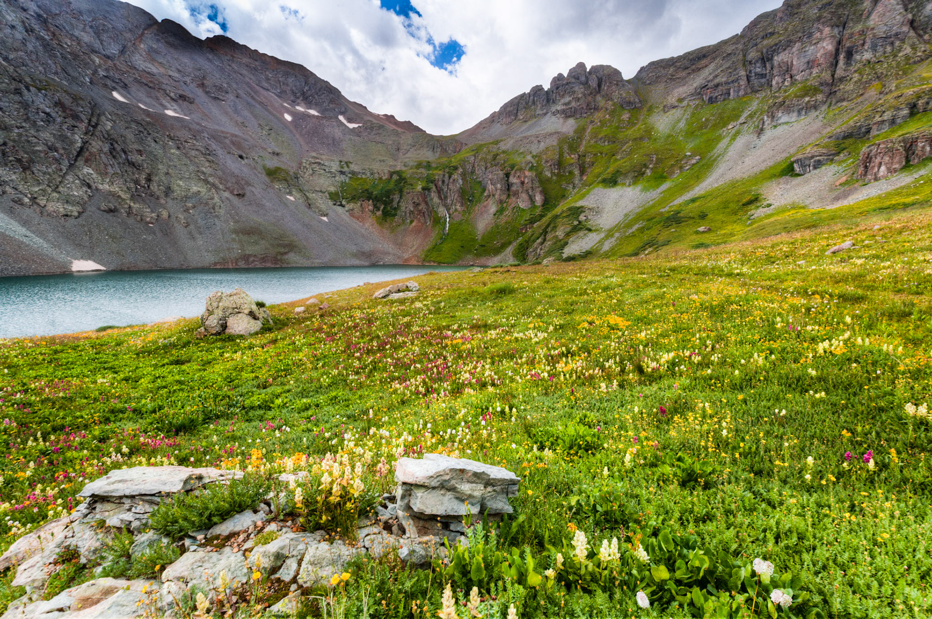 Wild Flowers at Clear Lake at County Road 12, San Juan Nat'l Forest, CO, USA