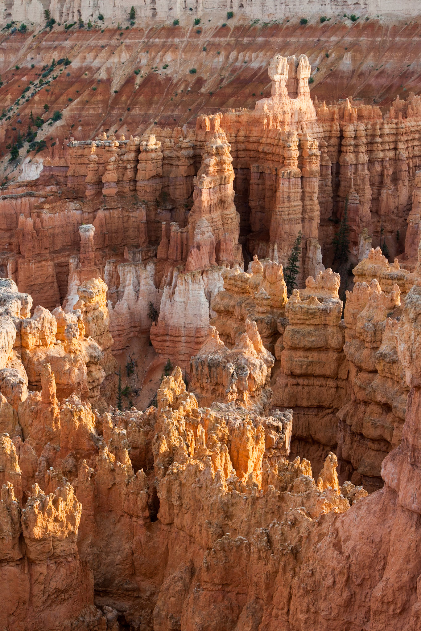 Bryce Canyon Sunset Point, UT, USA