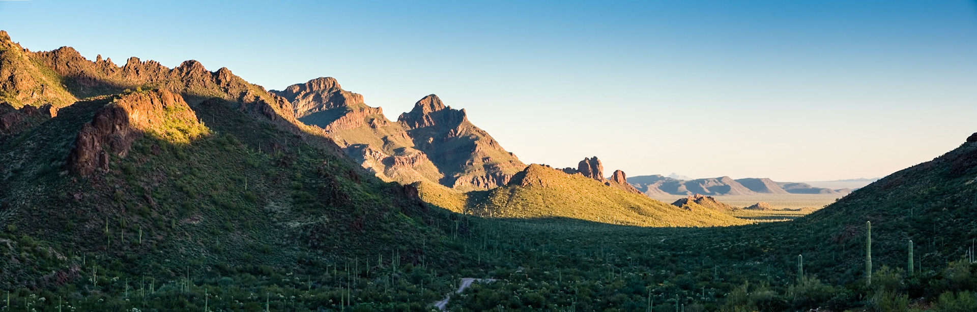 Organ Pipe Cactus National Monument, Arizona, USA