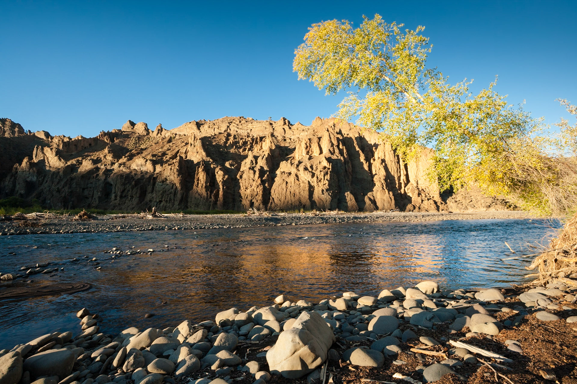 Shoshone River between rocks and a yellow colored tree in autumn at Wapiti Valley, Wyoming, USA