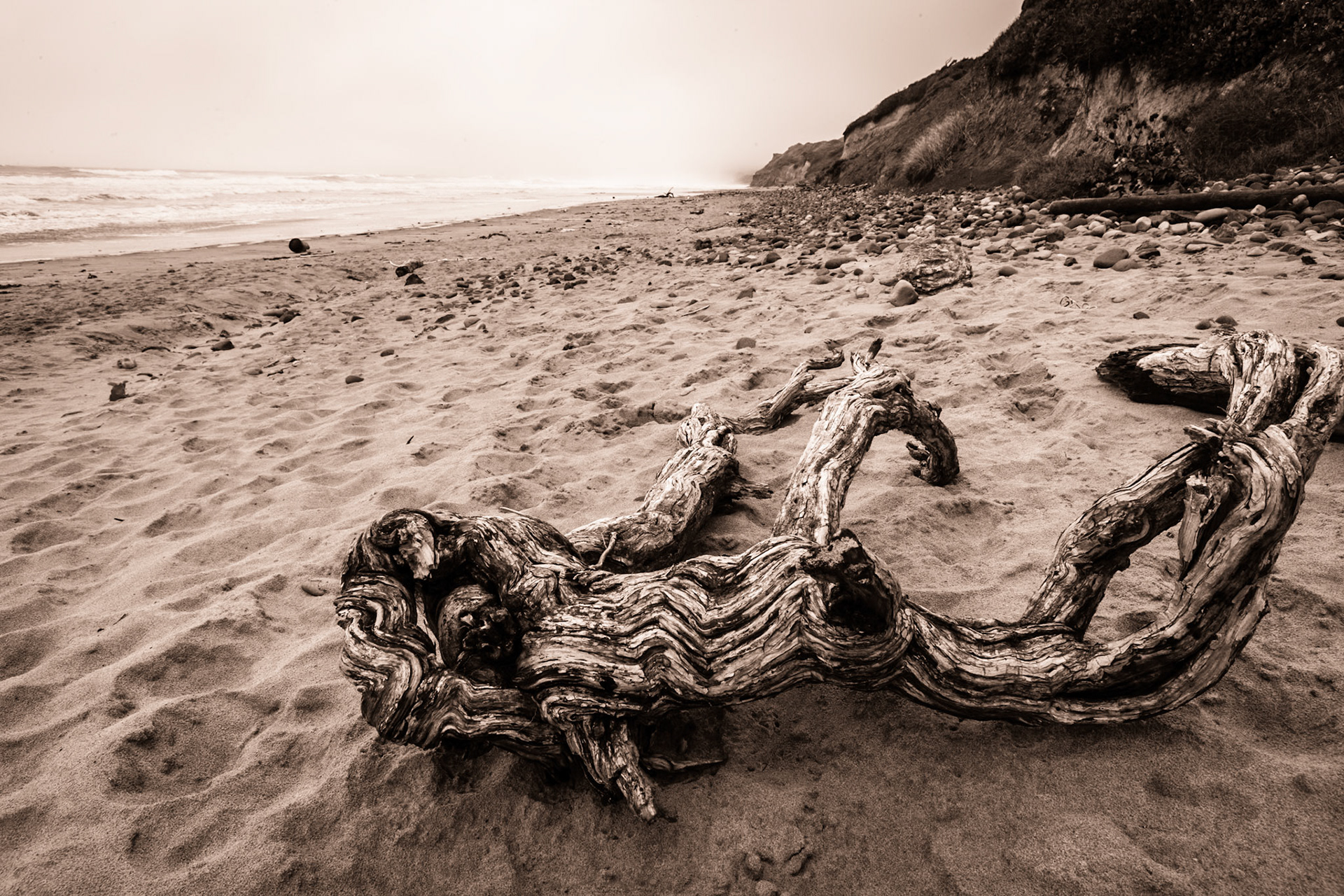 Oregon Coast Hwy 101, south of Beverly Beach