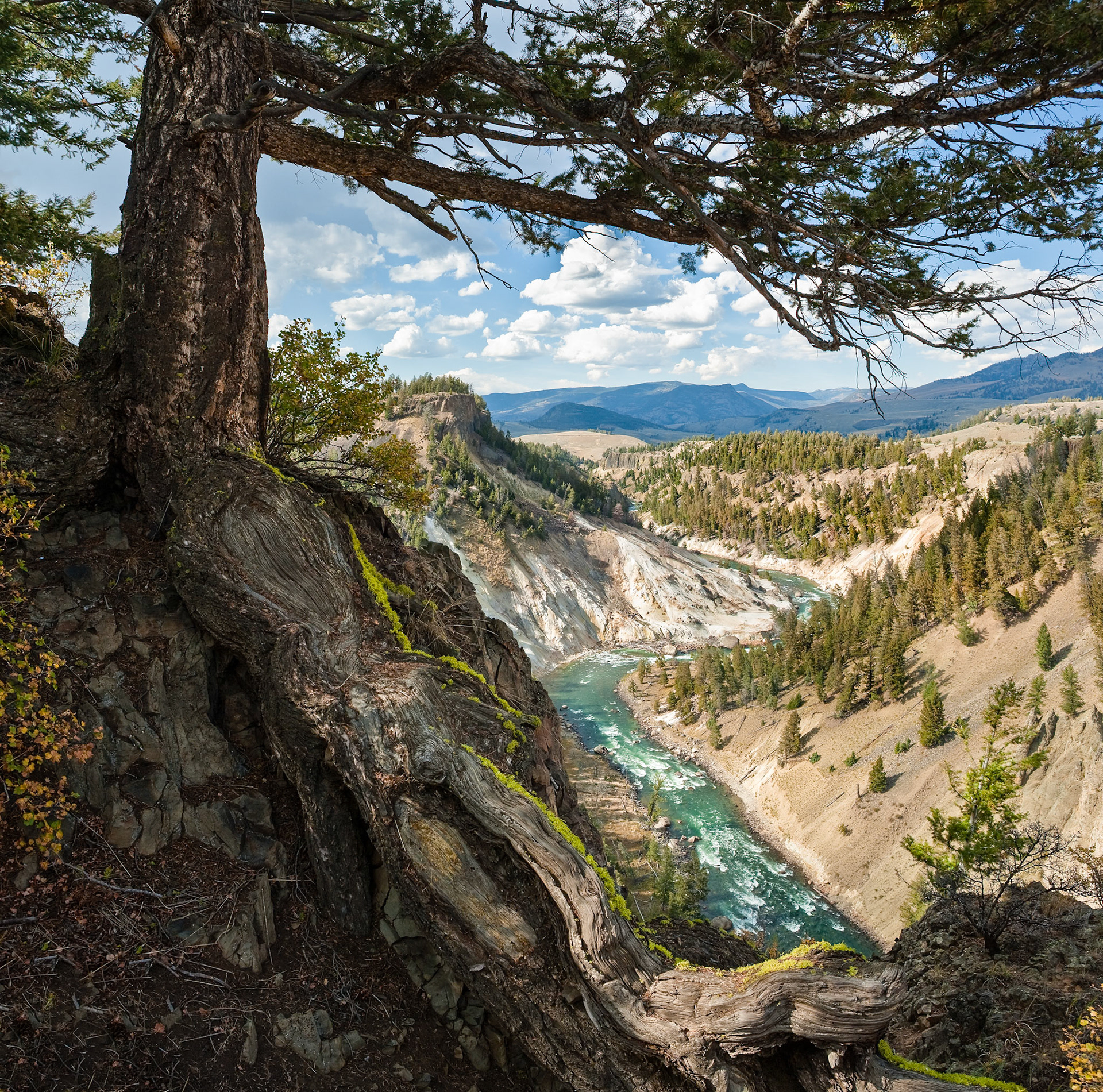 Yellowstone River at the Narrows in Yellowstone Nat'l Park, WY, USA
