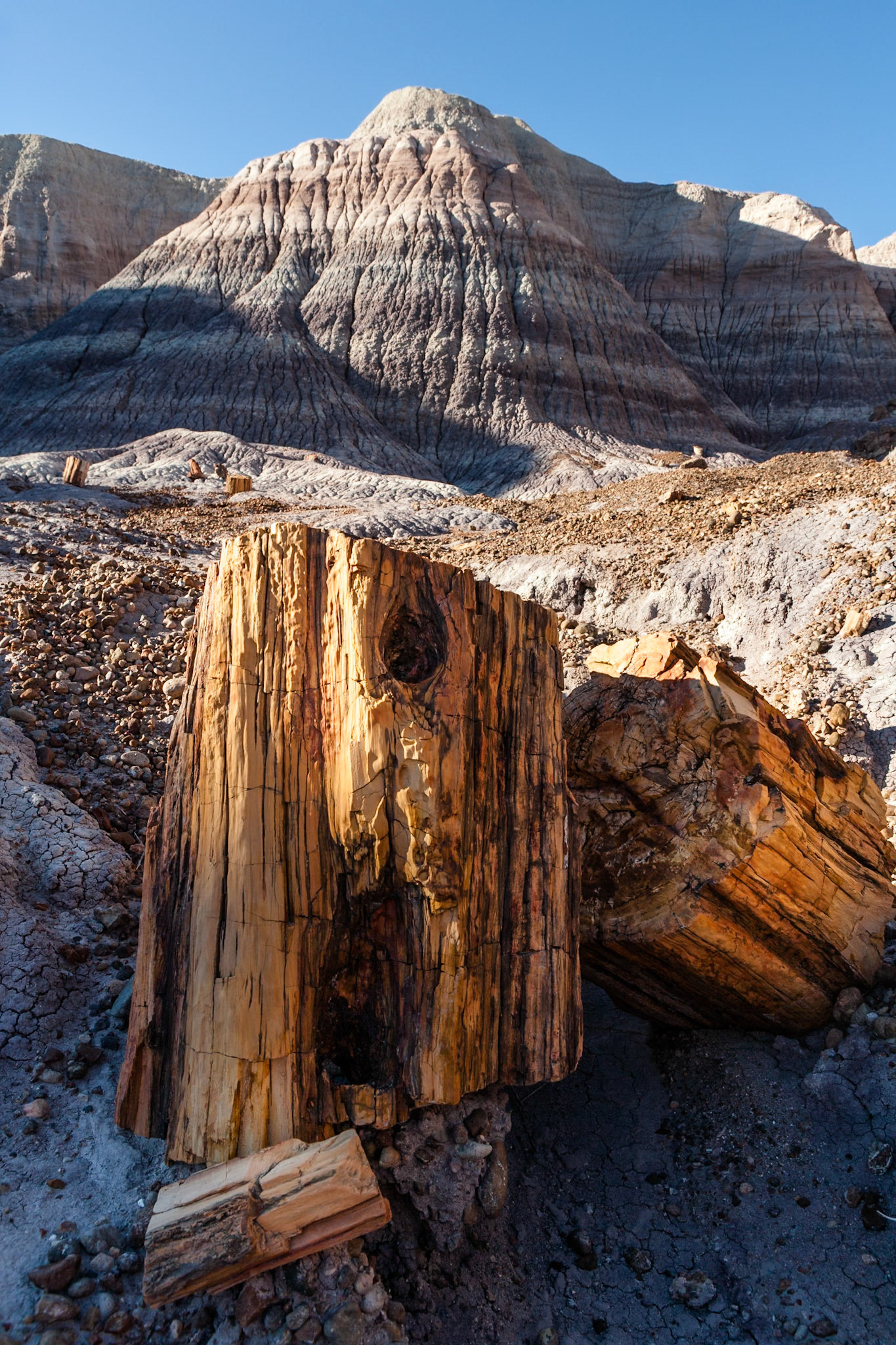 Petrified Forest National Park, Blue Mesa, AZ, USA