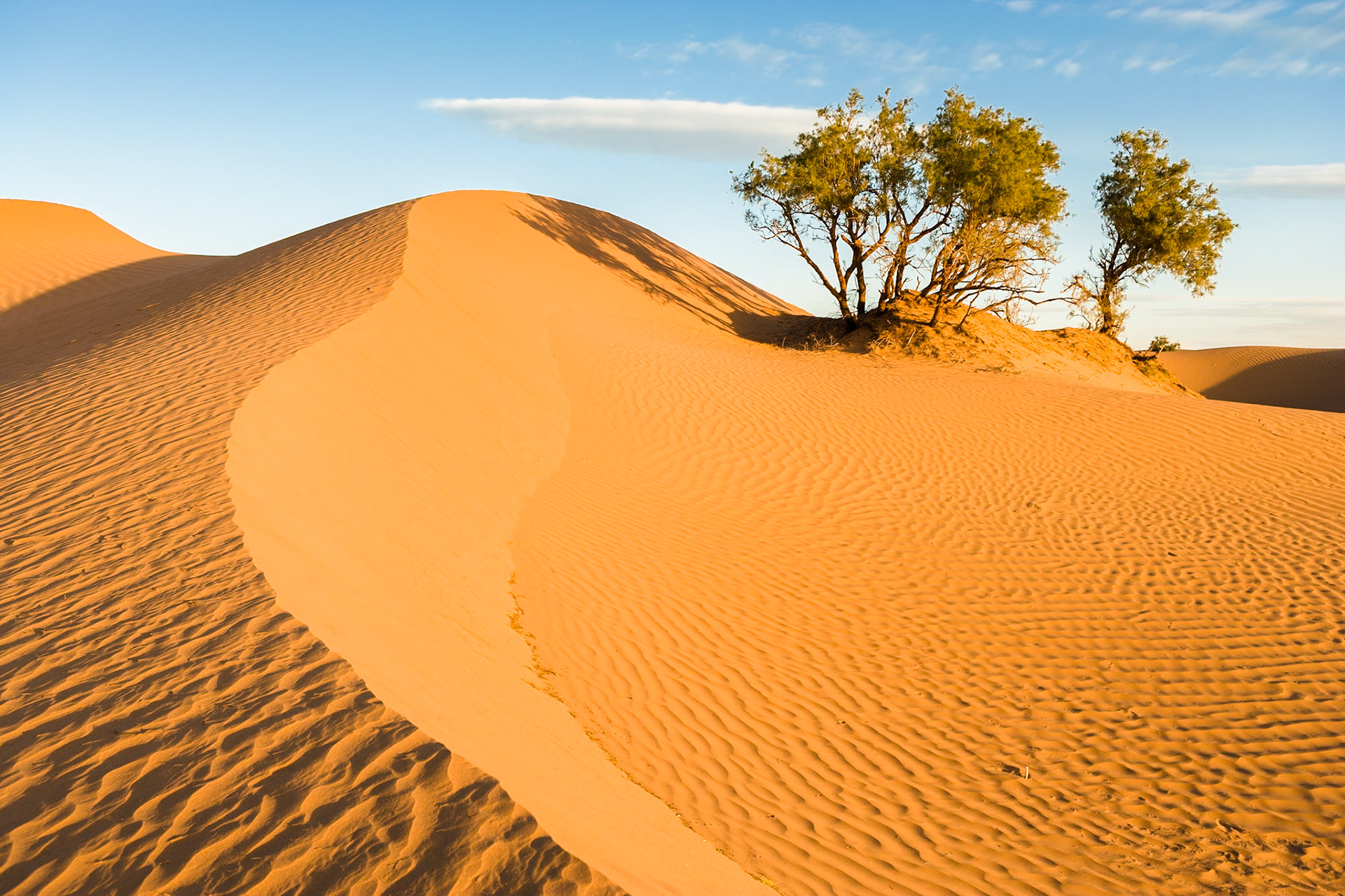 Sunrise at the dunes (Sahara) at Mhamid, Morocco