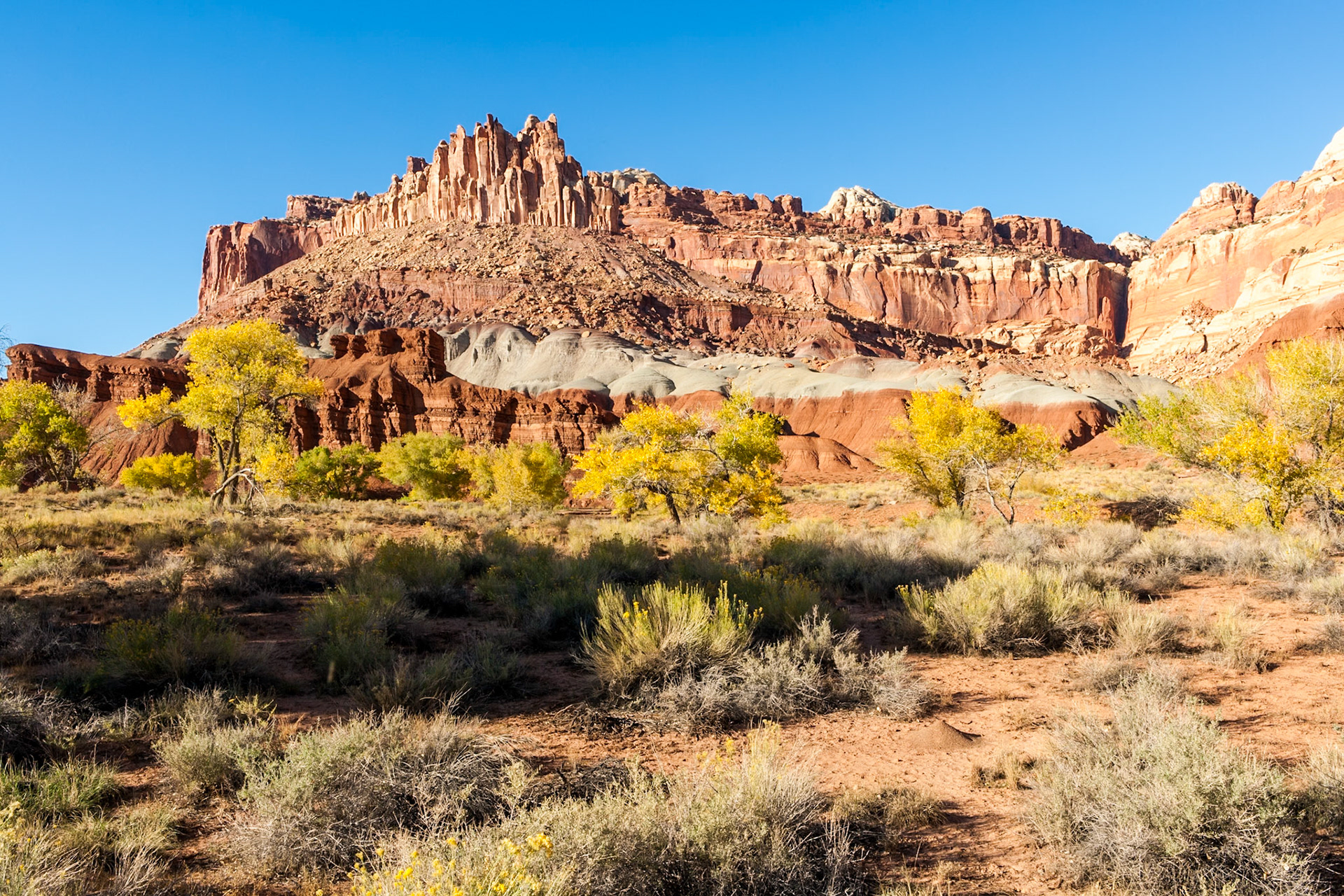 Capitol Reef Nat'l Park, The Castle, Utah, USA