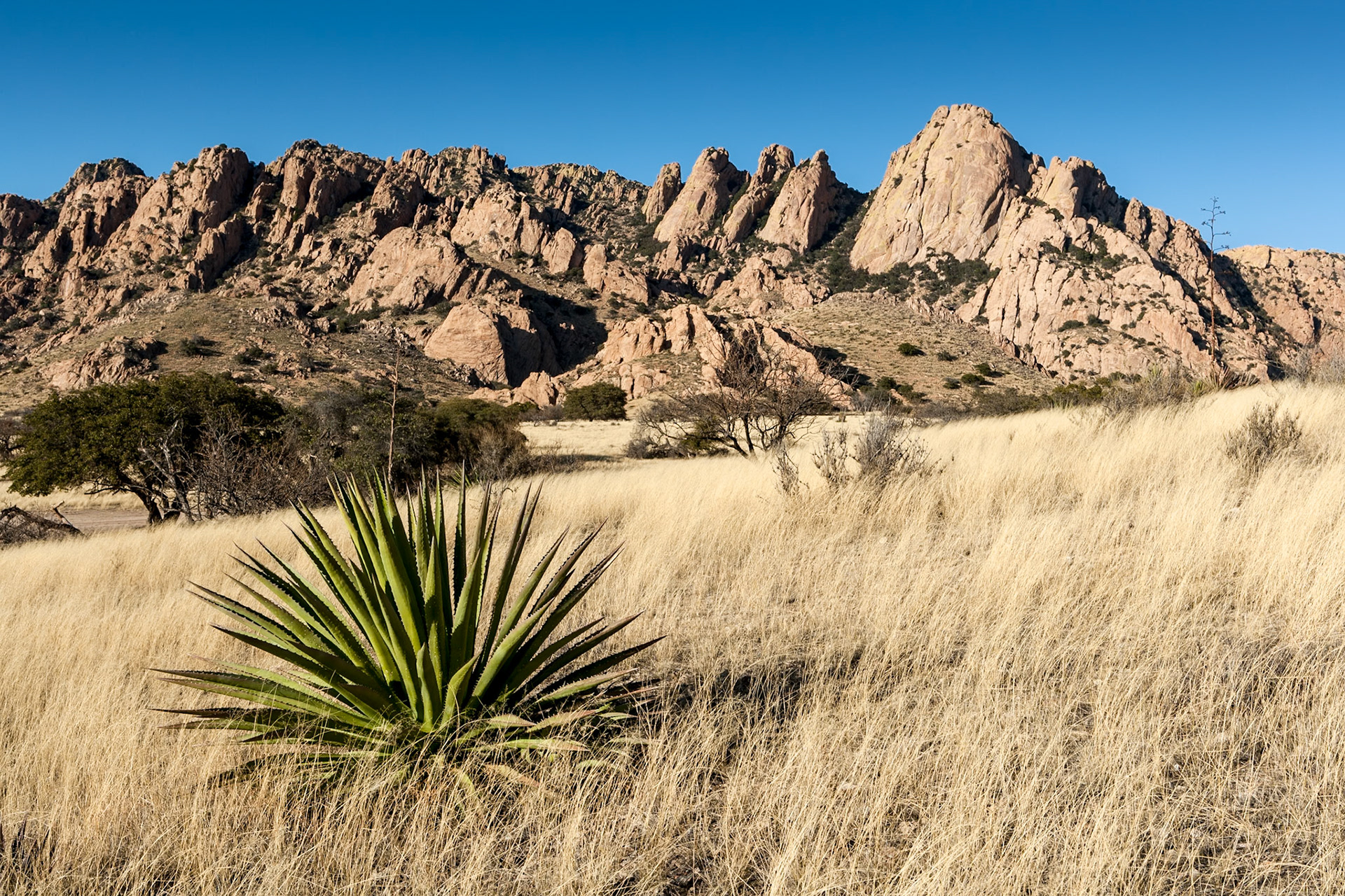 Dragoon Mountains, Arizona, USA