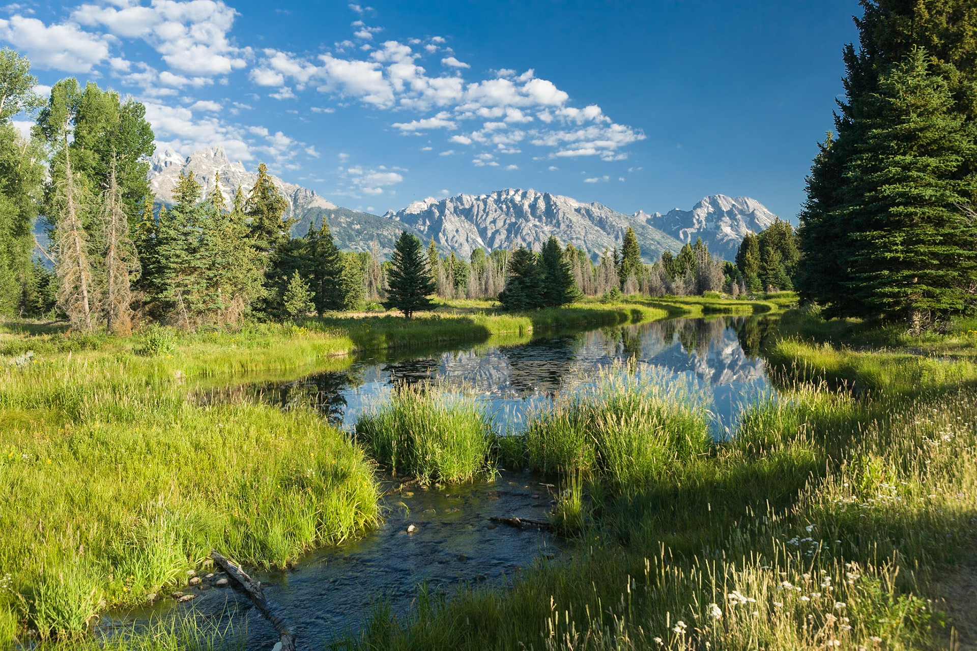 Schwabacher's Landing, Grand Teton National Park, Wyoming, USA