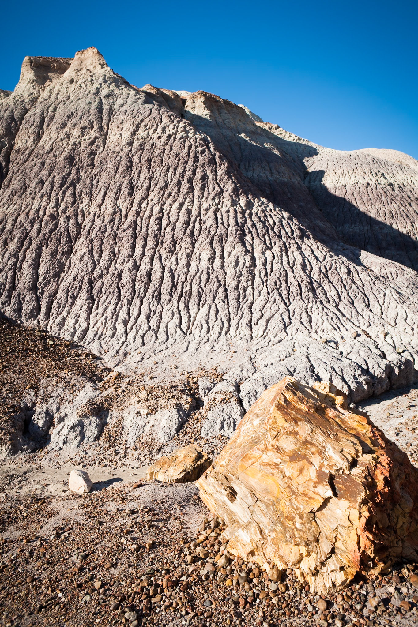 Petrified Forest National Park, Blue Mesa, AZ, USA