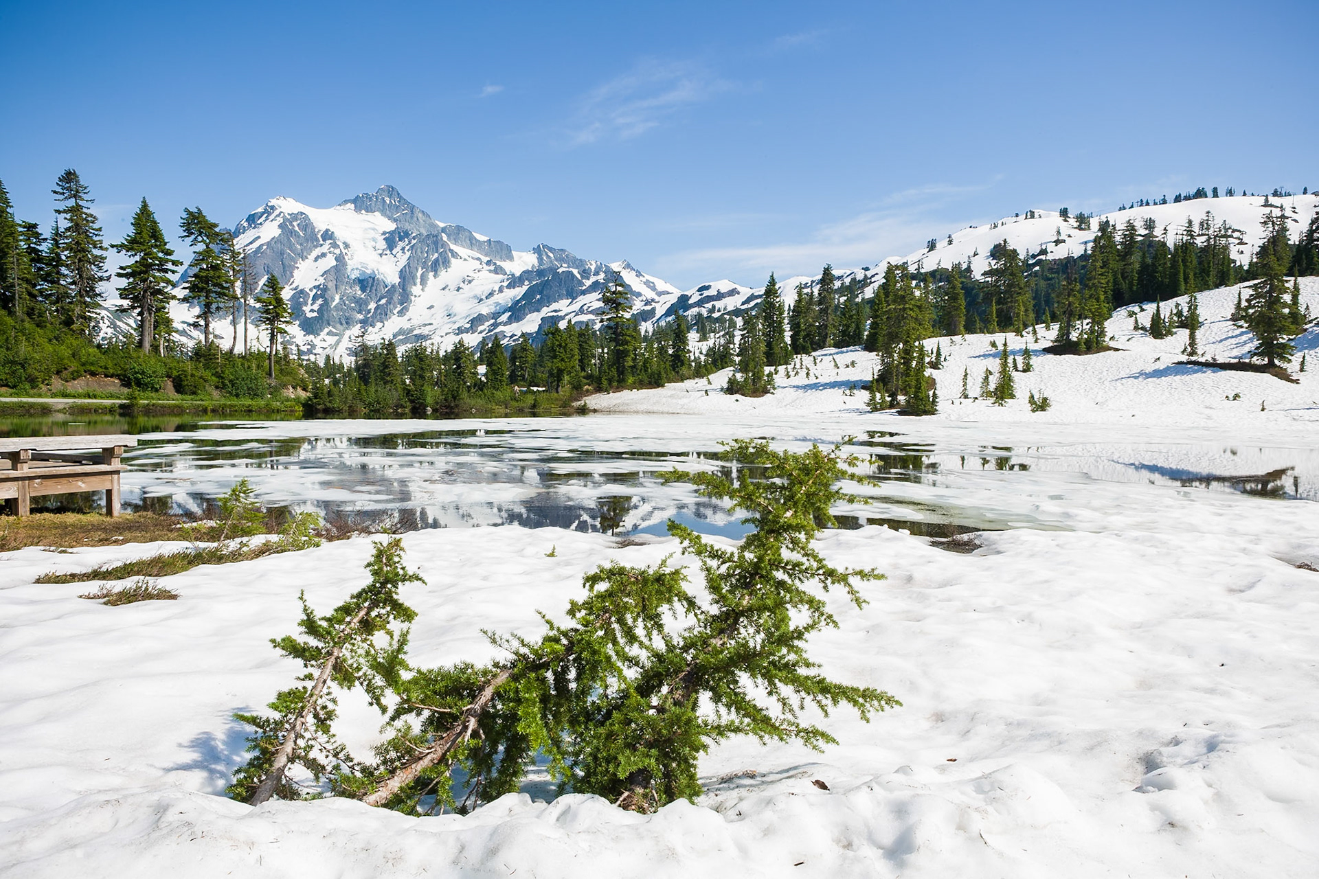Mount Shuksan and Picture Lake at Mt Bake Hwy, WA, USA,