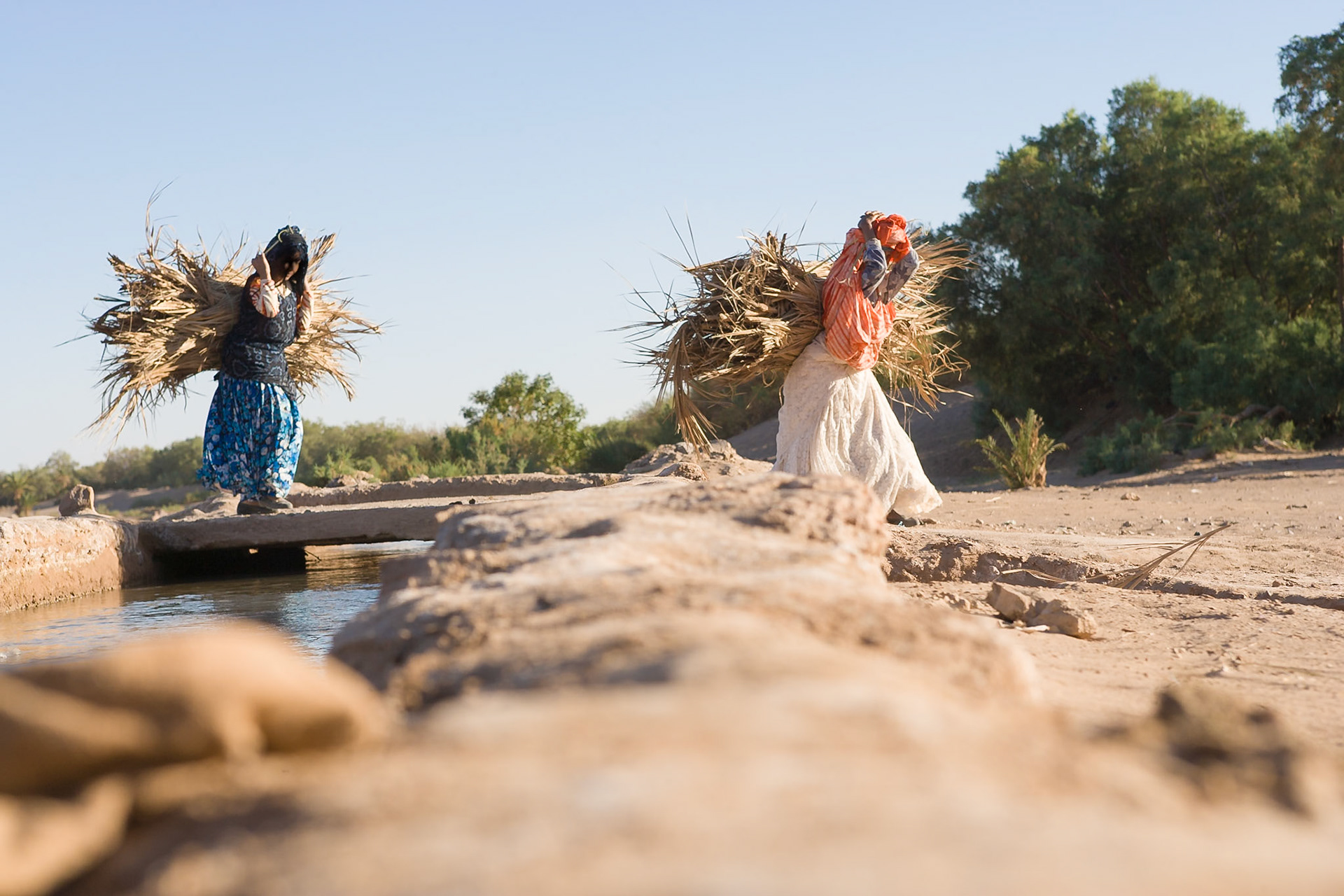 Women carrying wood at Tissinnt at N20