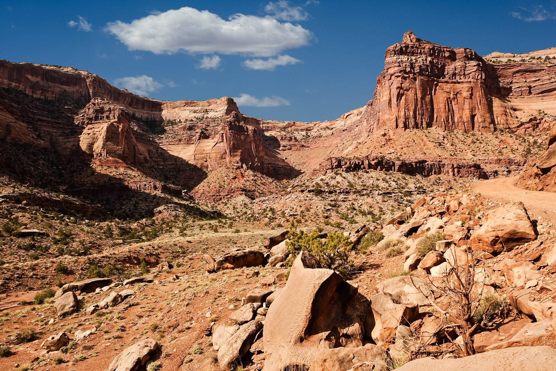 Scenery at Shafer Trail at Canyonsland Utah, USA