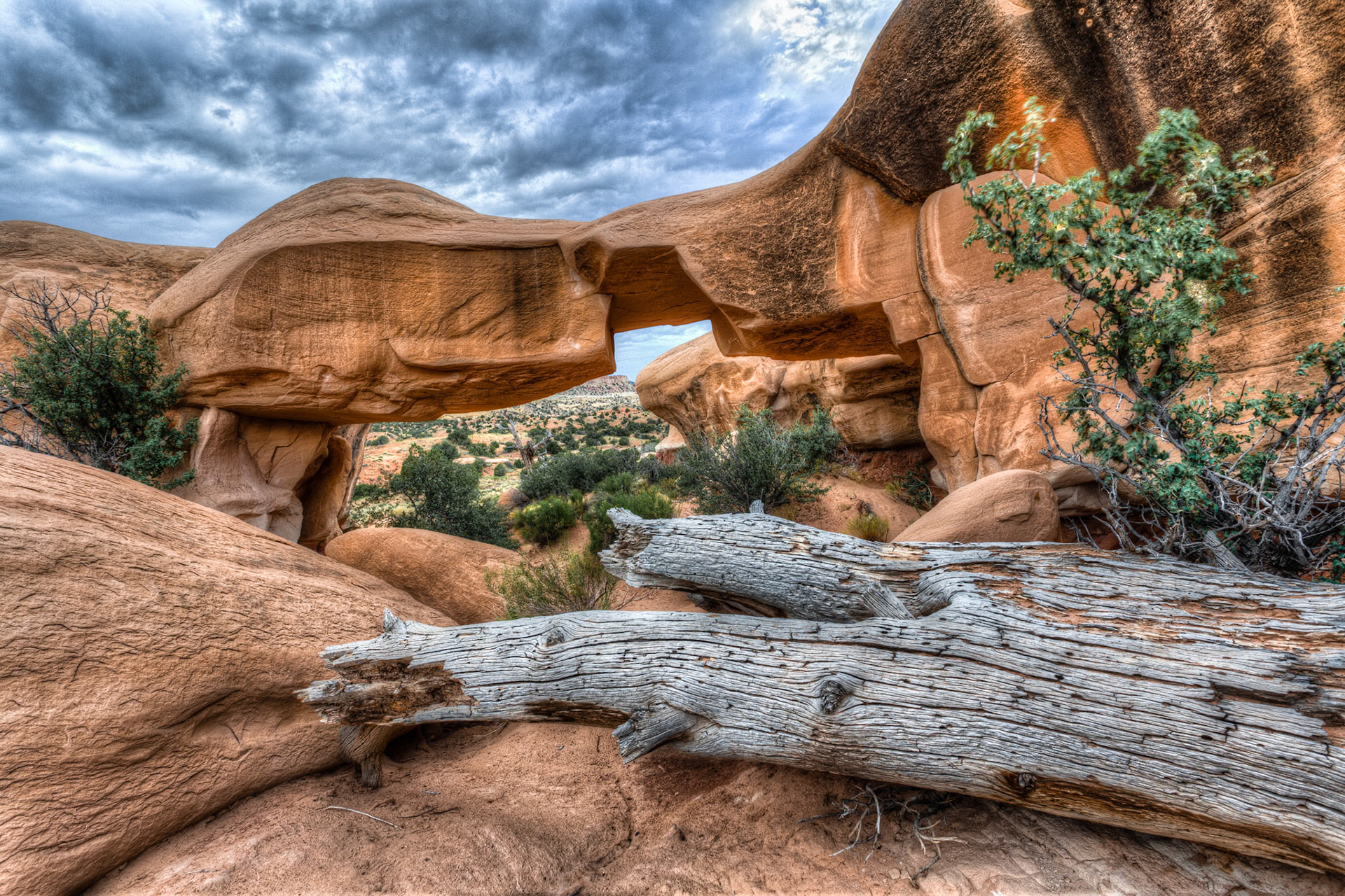 Devils Garden at Grand Staircase Escalante National Monument, Utah, USA