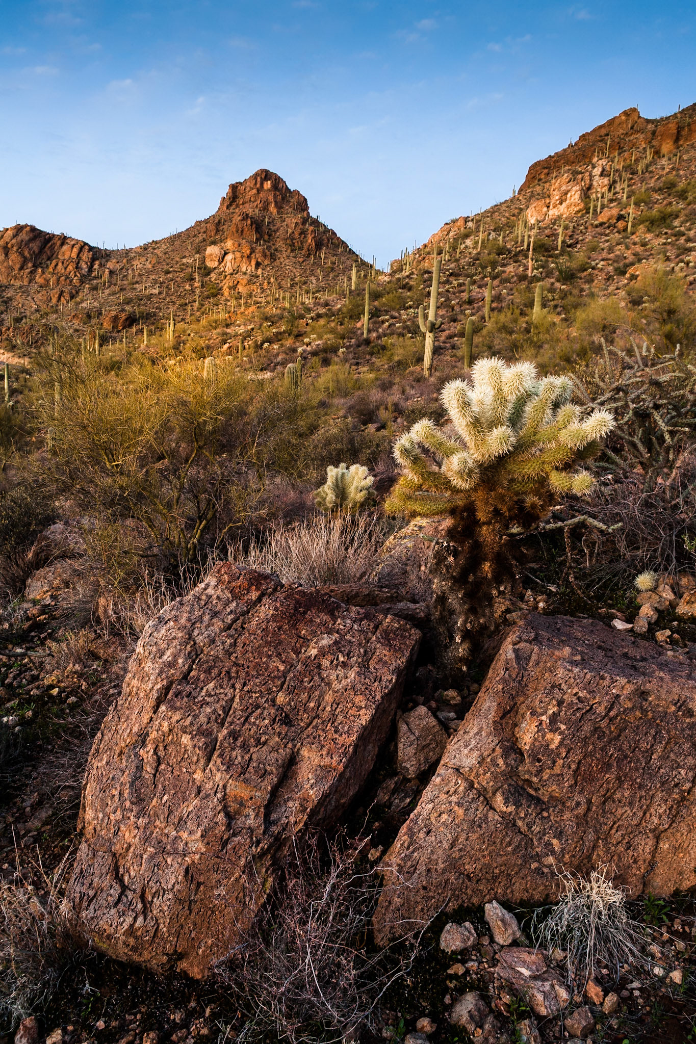 Tucson Mountain Park at the Gate Pass at sunset, Arizona, USA