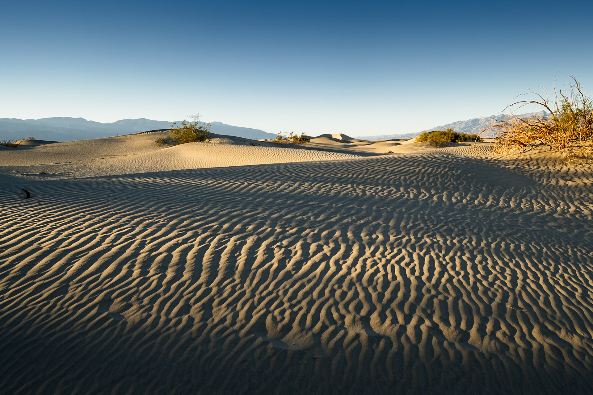 Sunset at Mesquite Flat Sand Dunes, Death Valley, California, USA