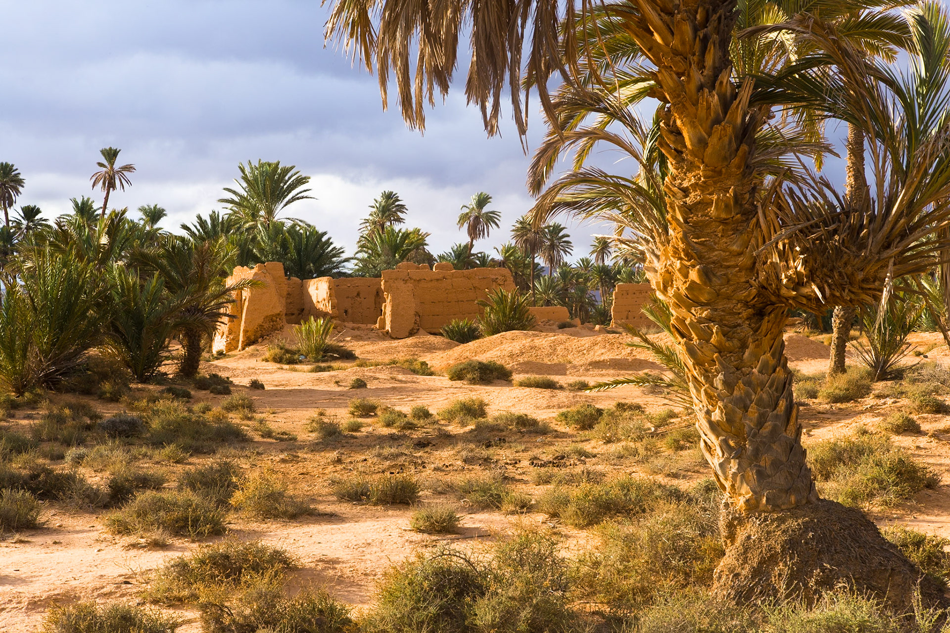 Ruin at Oasis near Guelmim, Morocco