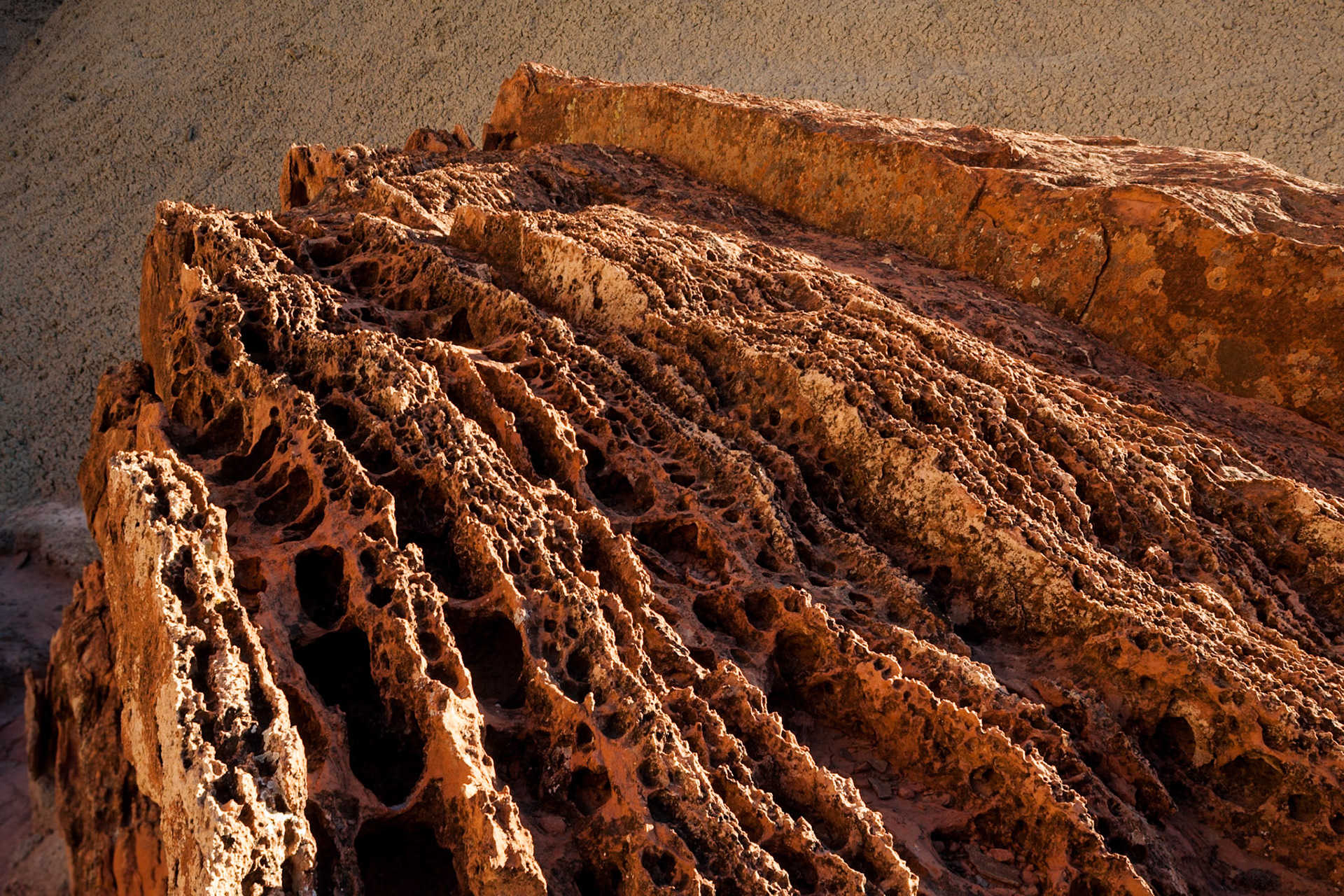Capitol Reef, near The Castle, Utah, USA
