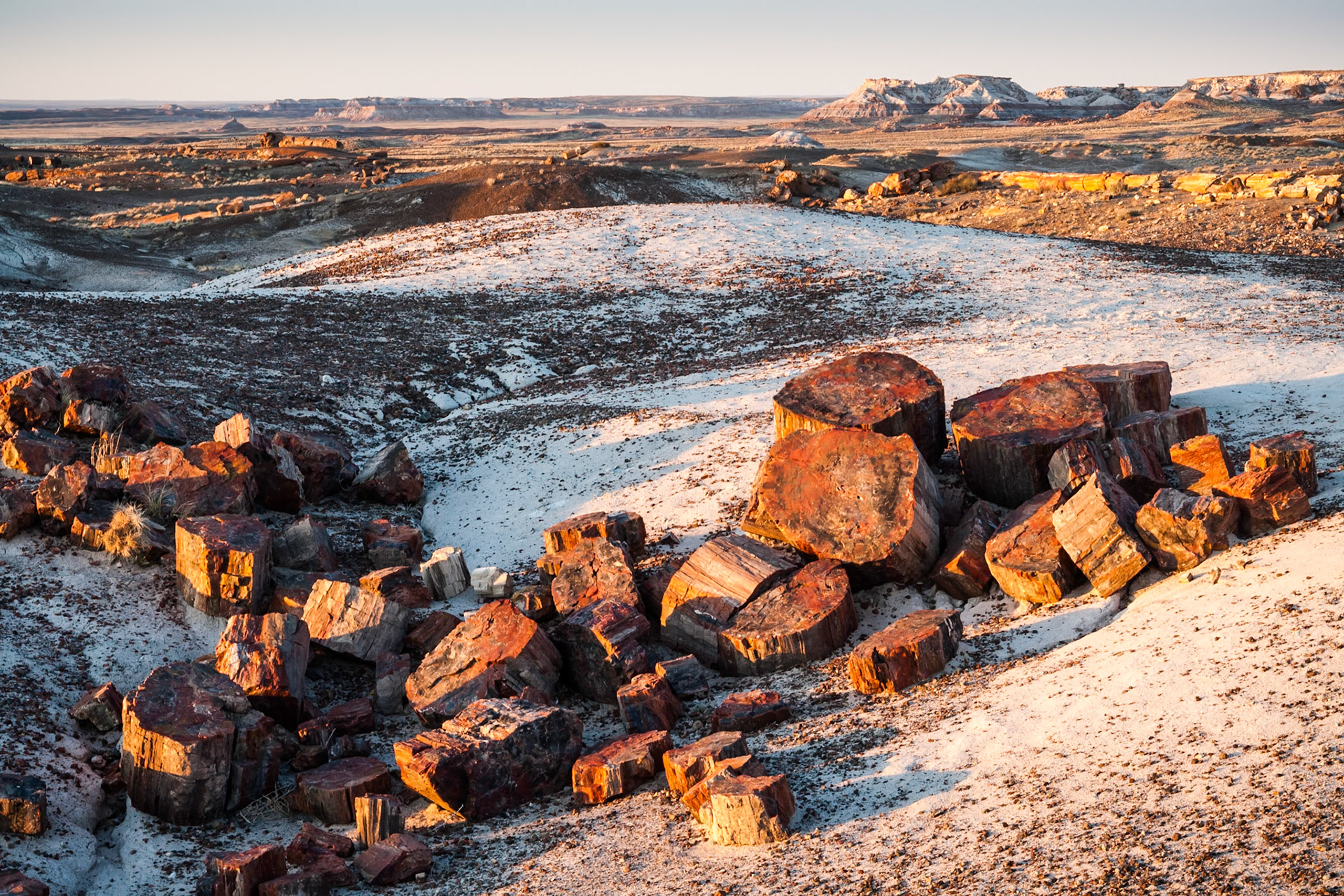 Sunset at Petrified Forest National Park, Crystal Forest, AZ, USA
