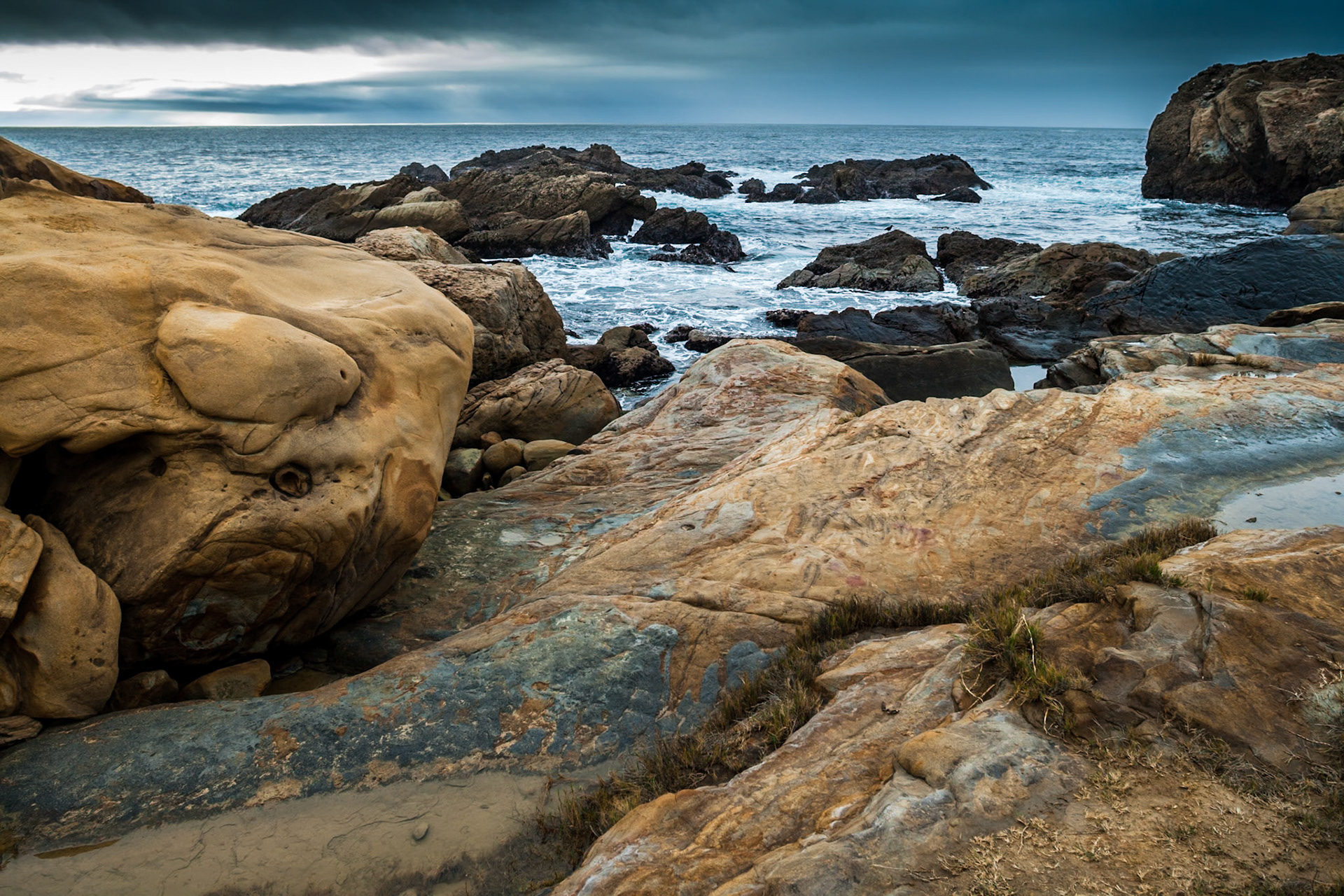 State Park Point Lobos near Carmel, california, USA
