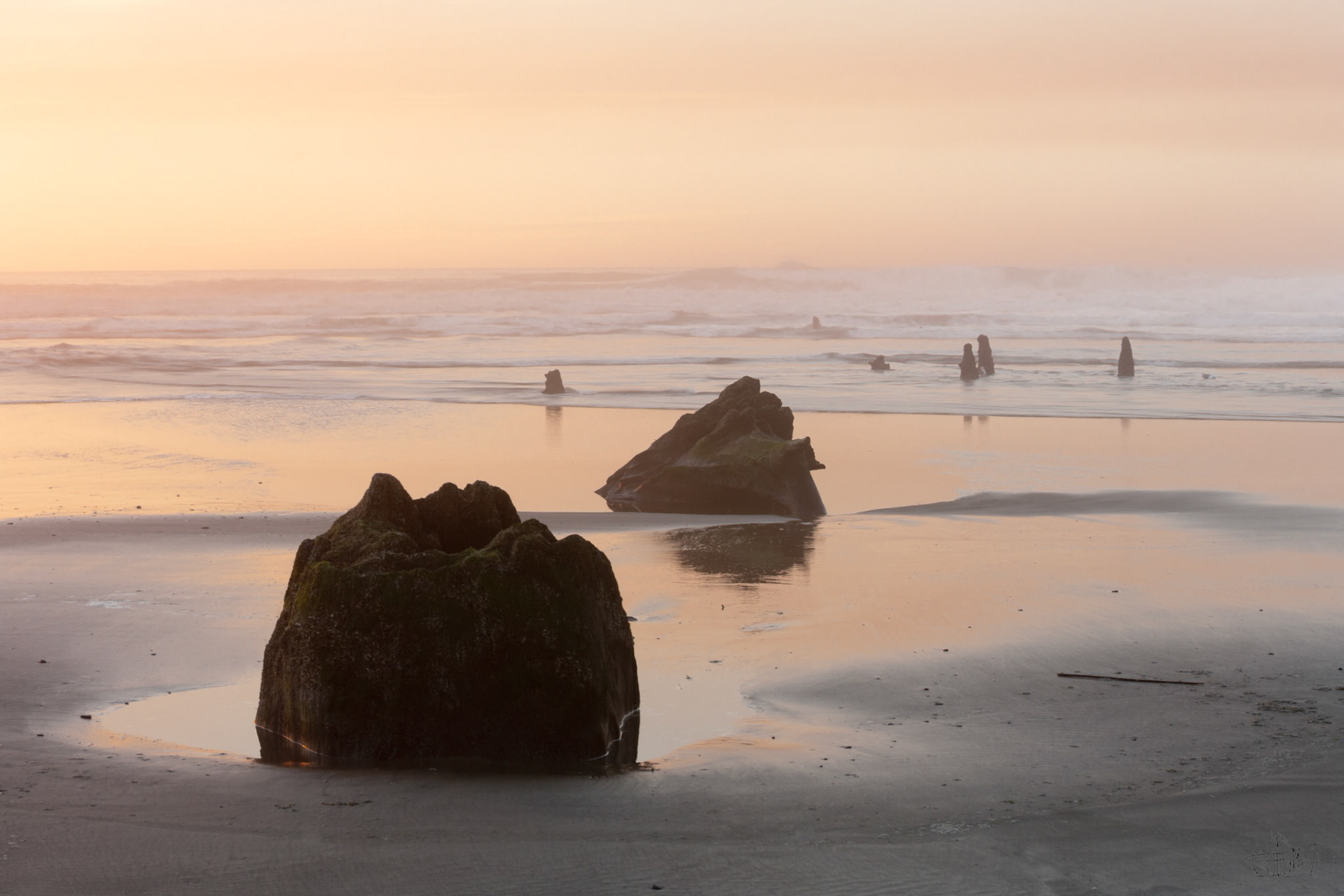 Sunset at South Beach with Petrified trees at Neskowin, OR
