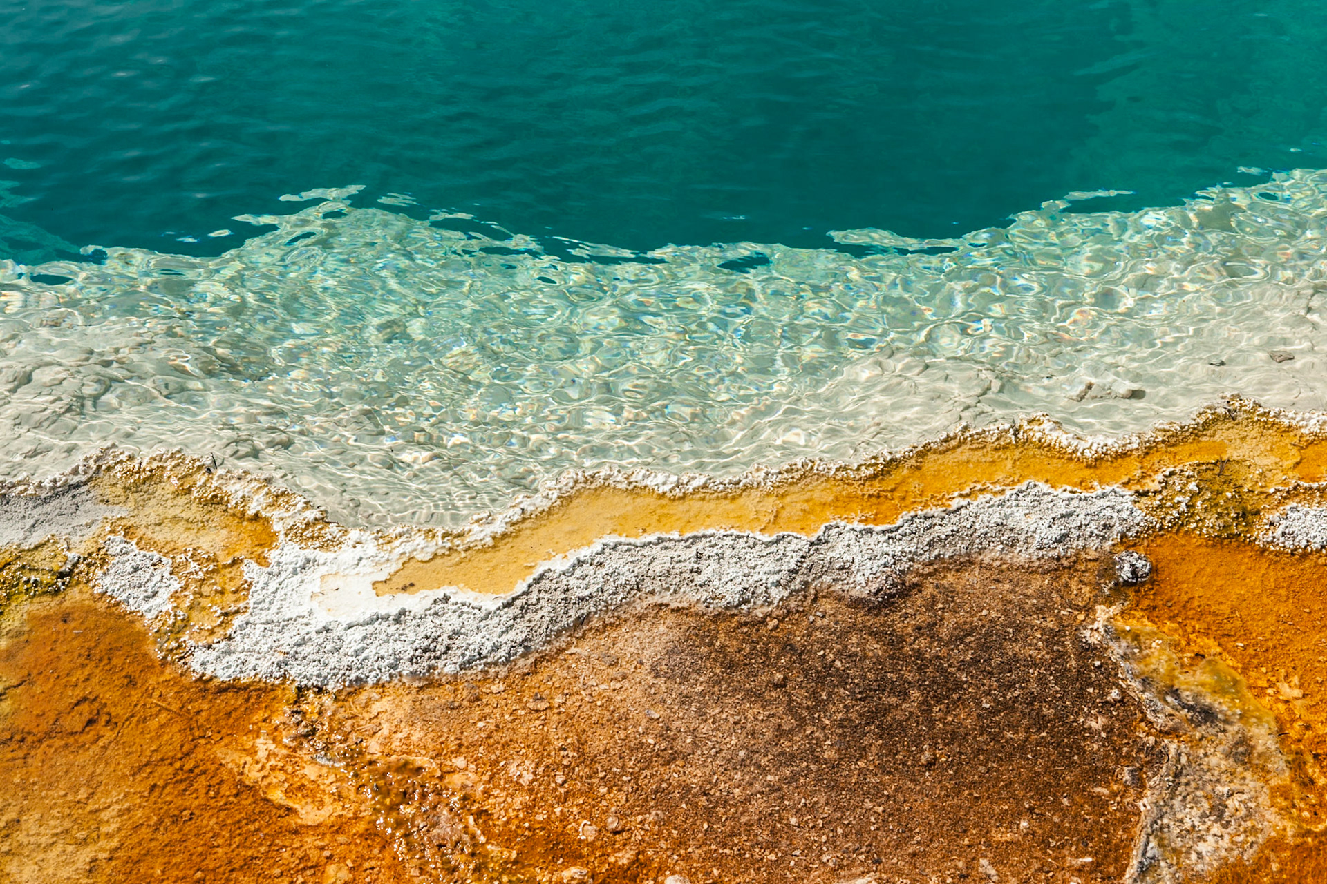 Black Pool at West Thumb Geyser Basin has blue-greenish water and yellow-gold  border because of sulfur, Yellowstone Nat'l Park, WY, USA