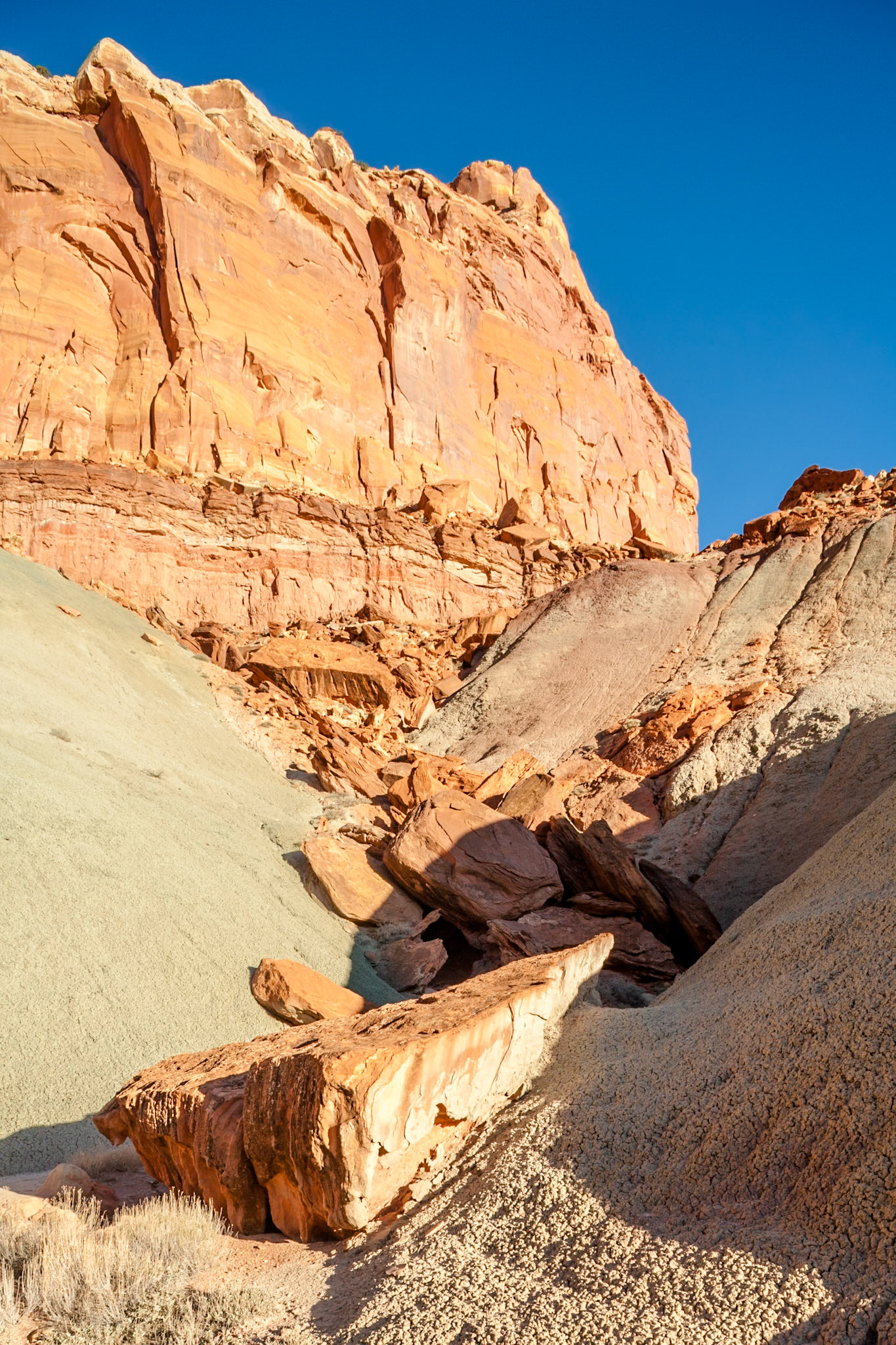 Capitol Reef, near The Castle, Utah, USA