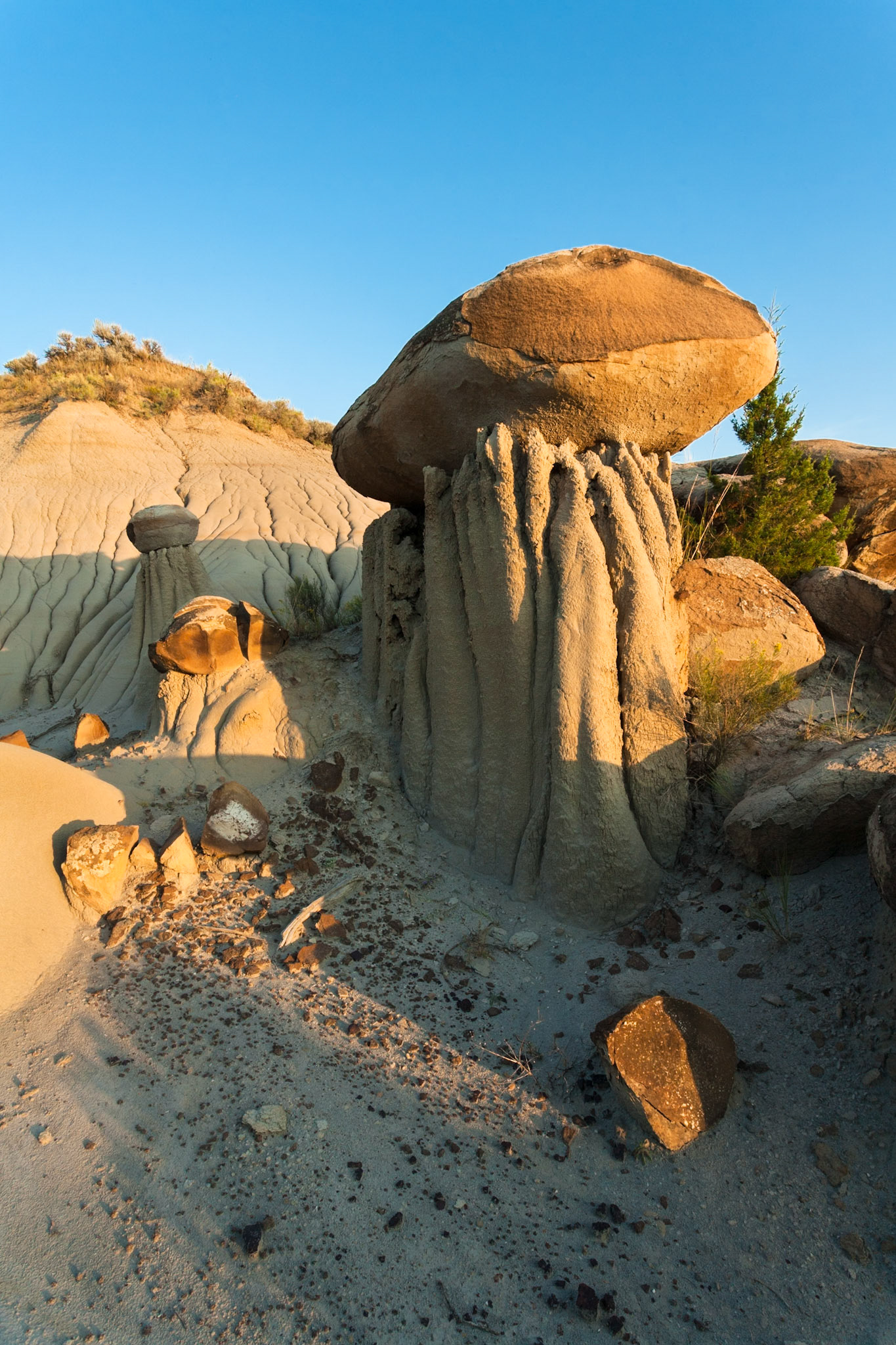 Hoodoos at Makoshika State Park at sunset, Montana, North America, USA