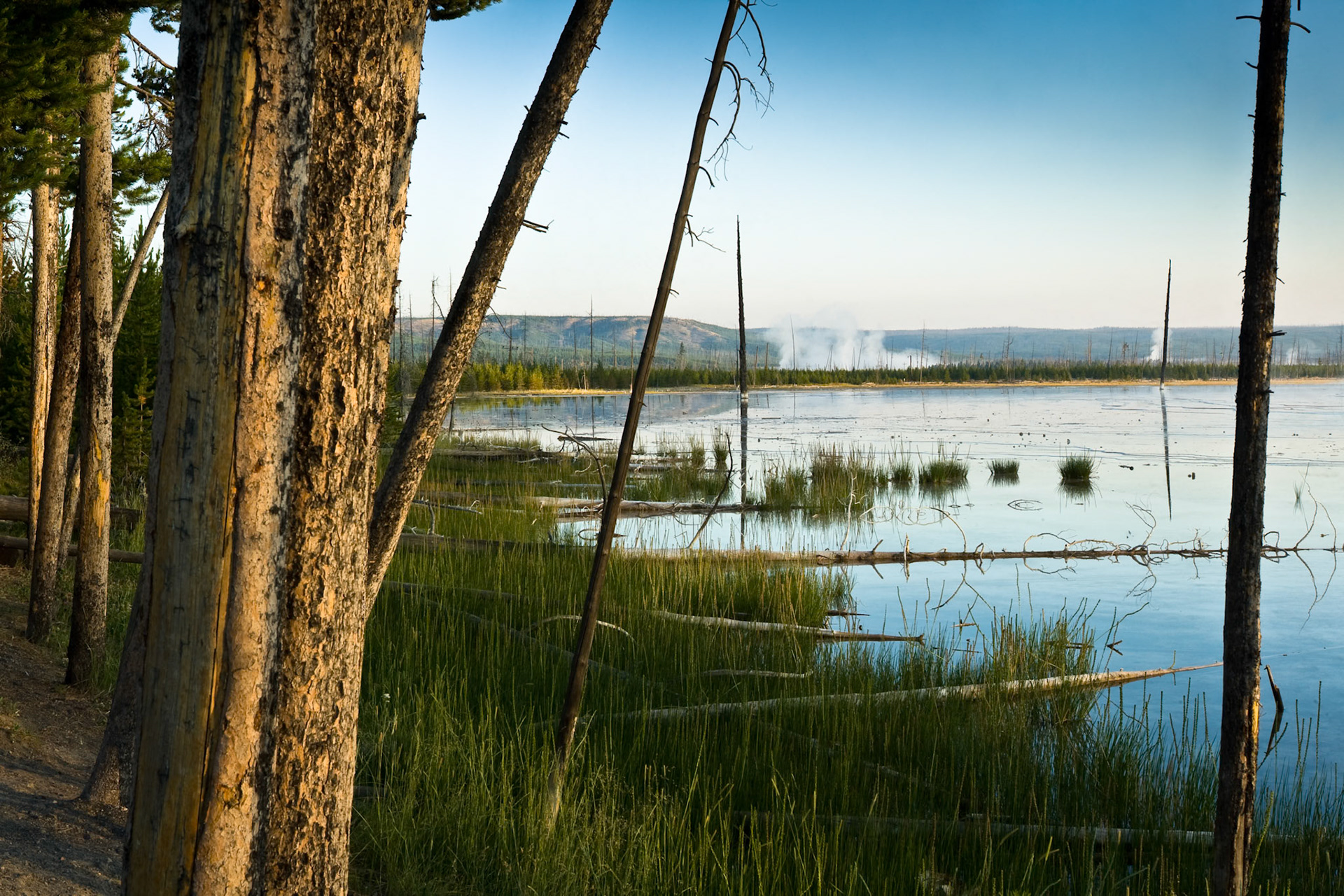 Midway Geyser Basin in Yellowstone National Park Wyoming, USA