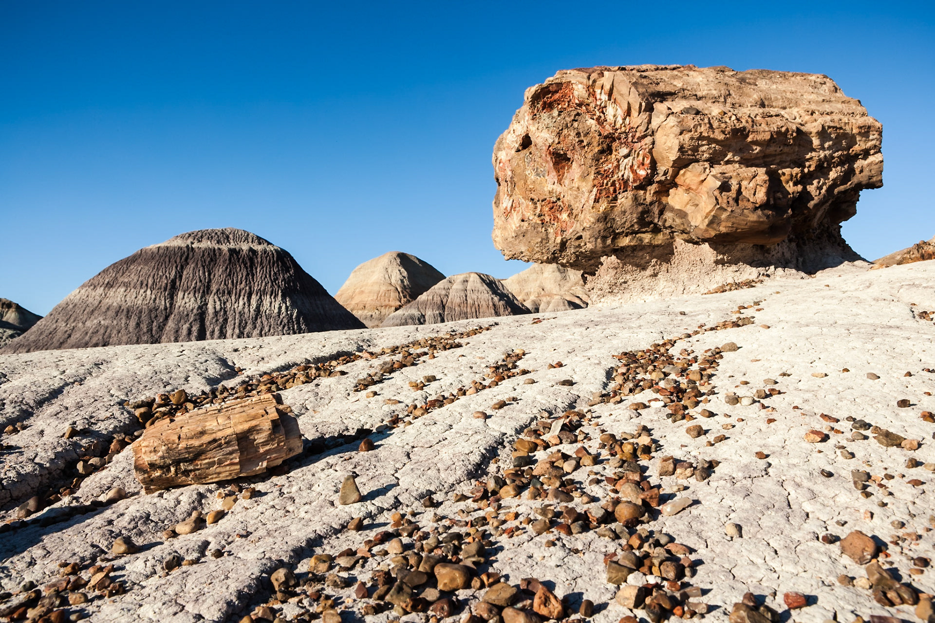 Petrified Forest National Park, Blue Mesa, AZ, USA