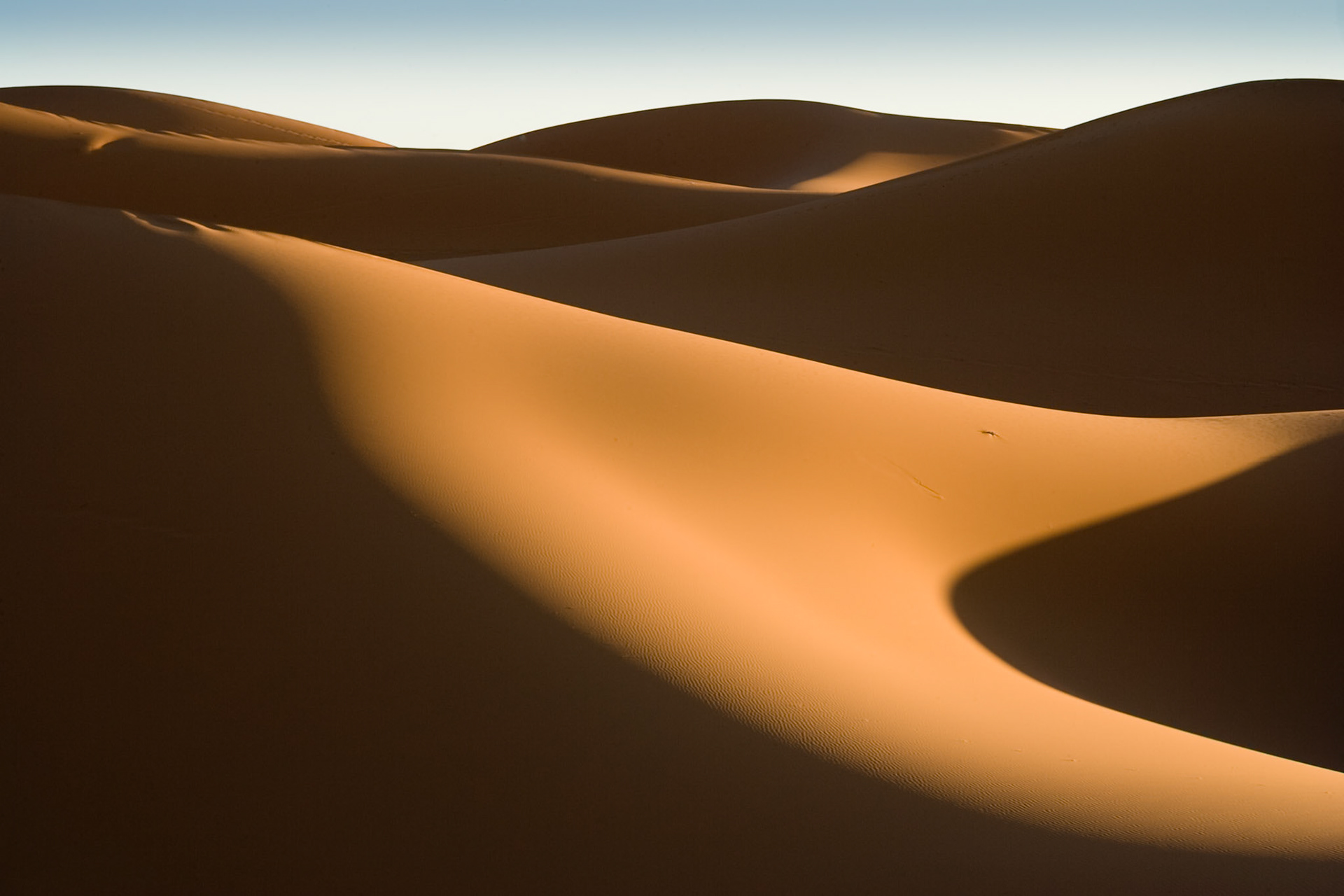 Sunrise at the dunes of Hassi Labiad (Sahara) , Morocco