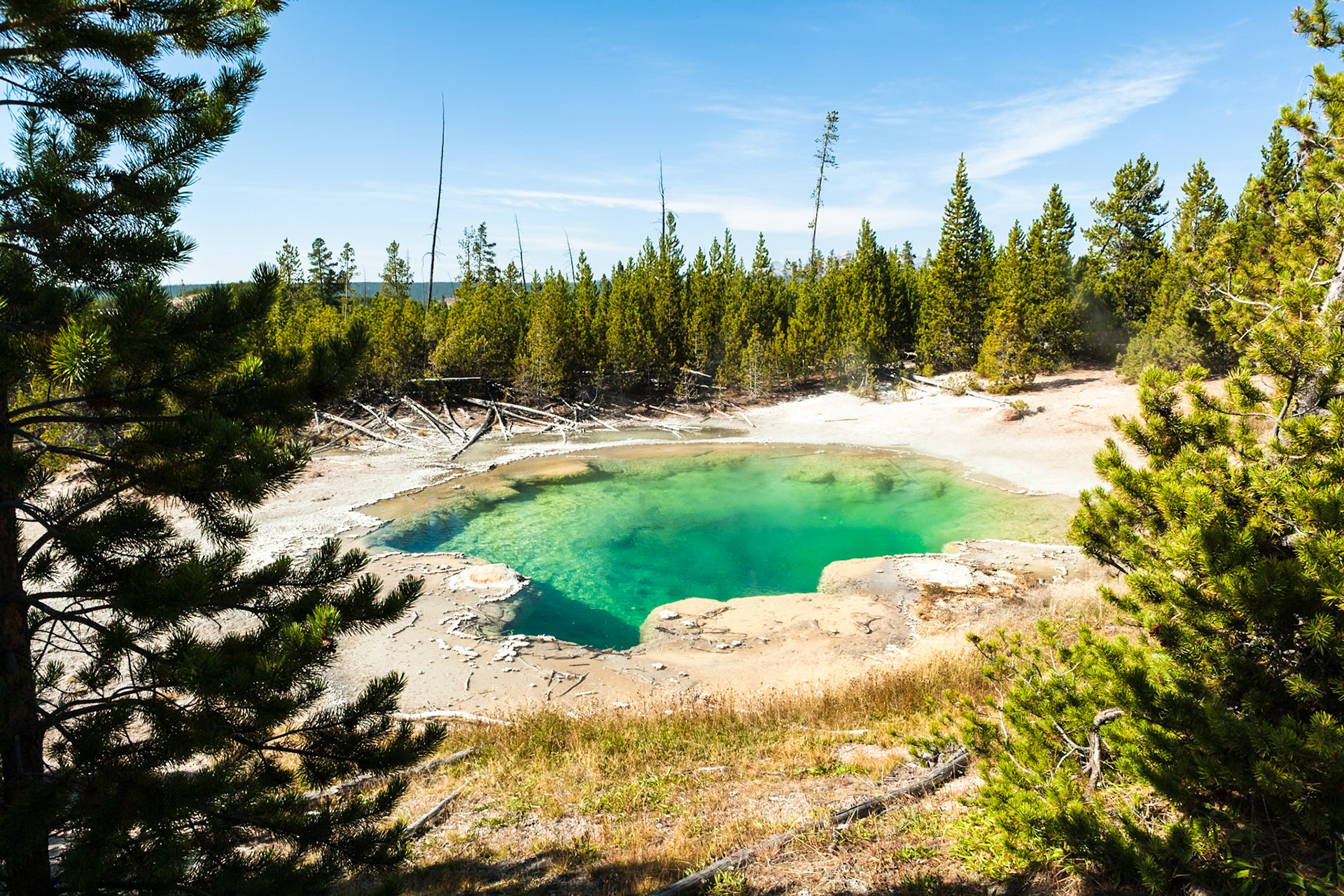 Emerald Spring, Norris Geyser Basin, Yellowstone National Park, WY, USA