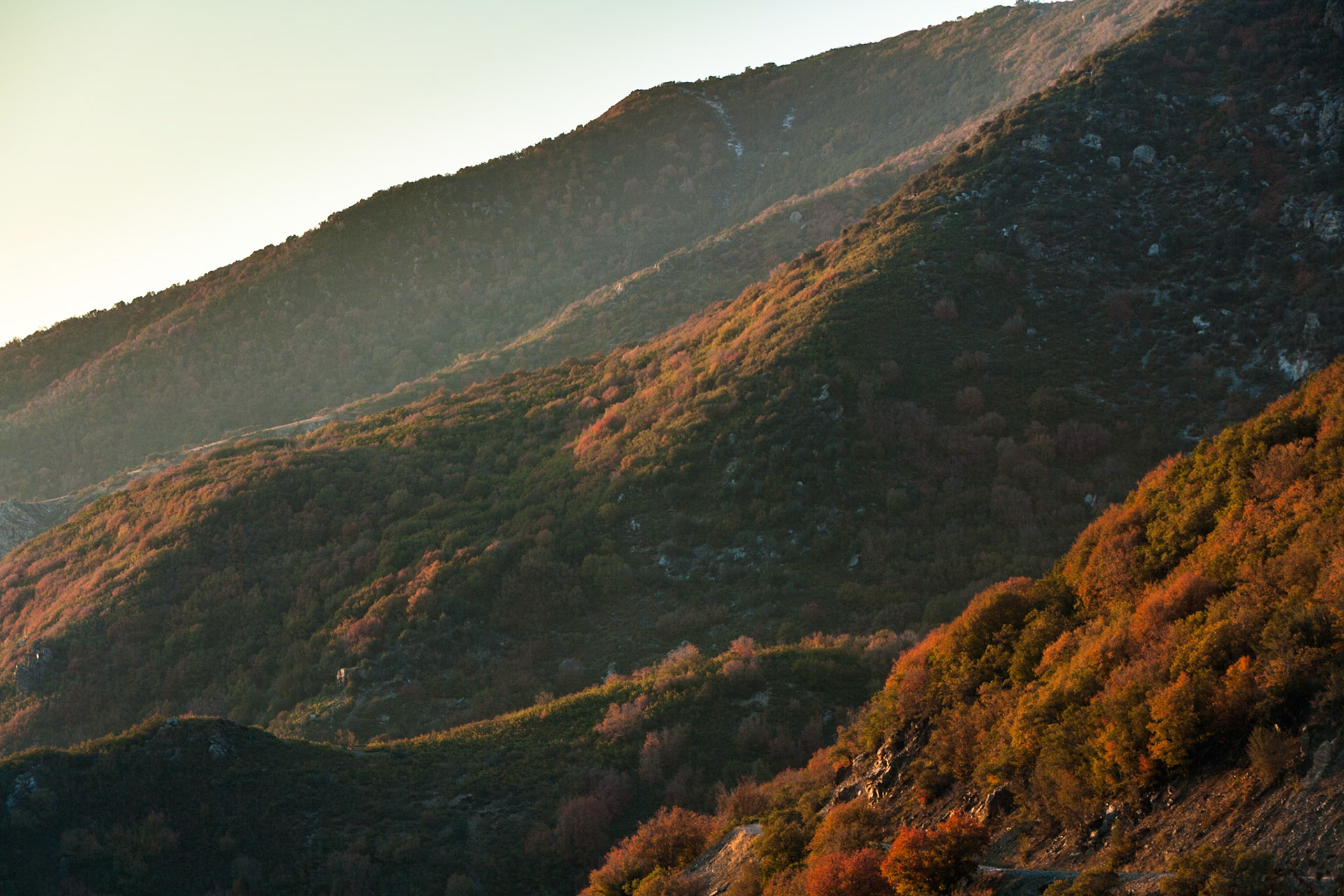 Fall at Wasatch National Forest, Wasatch Range, Utah, USA