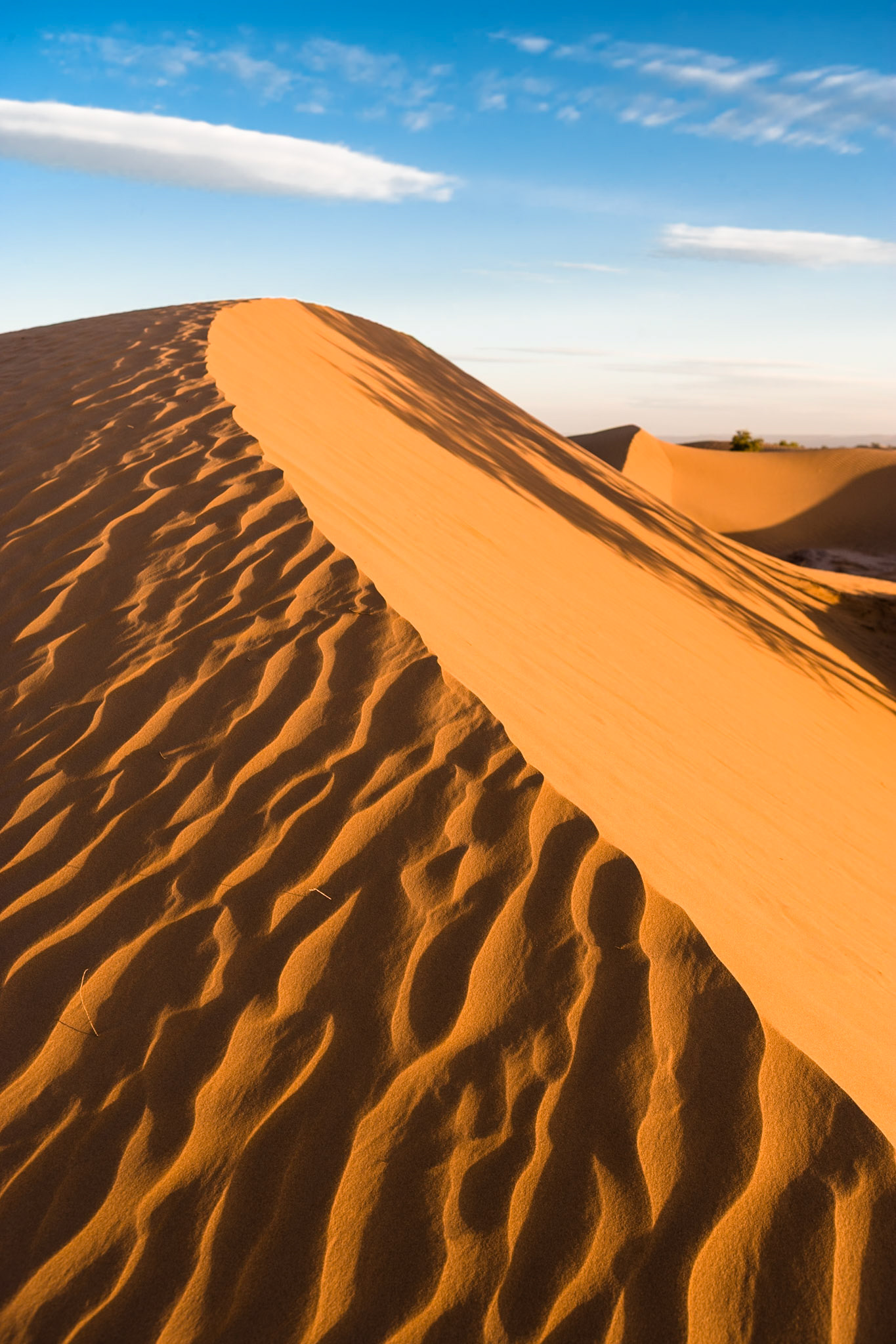 Sunrise at the dunes (Sahara) at Mhamid, Morocco
