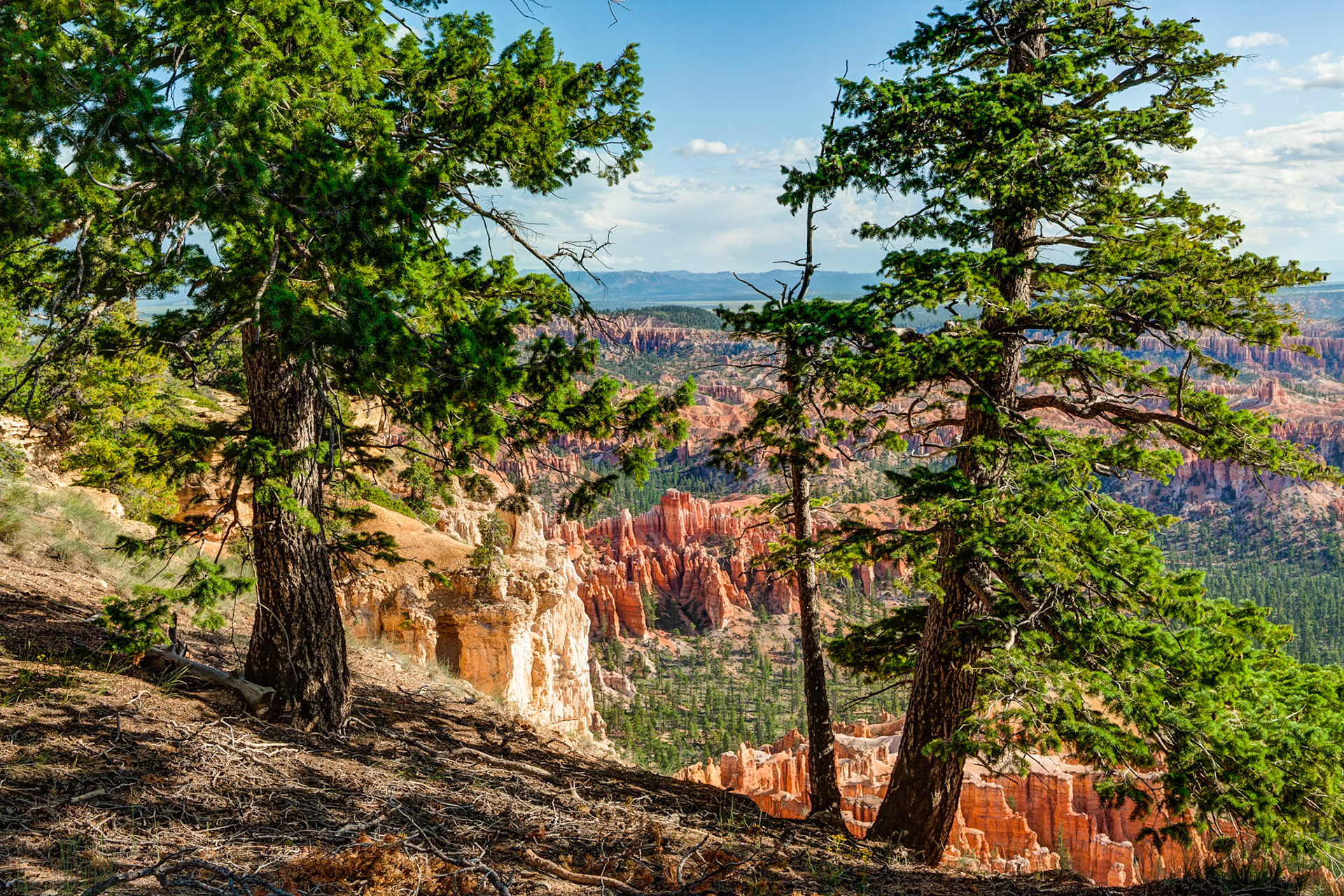 Bryce Canyon, Bryce Point,  UT, USA