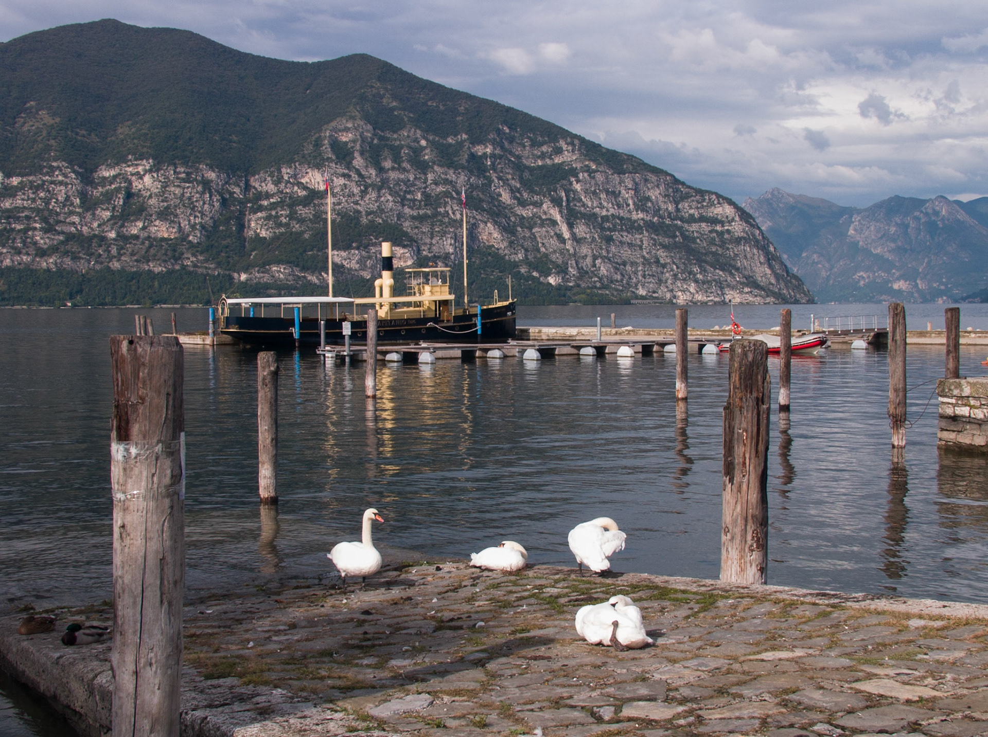 Swans at Lago d'iseo, INTELLECTUAL PROPERTY REFUSAL