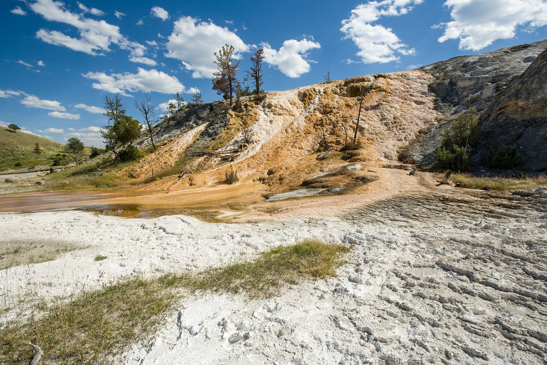 Palette Spring at Mammoth Hot Springs  in Yellowstone National Park Wyoming, USA