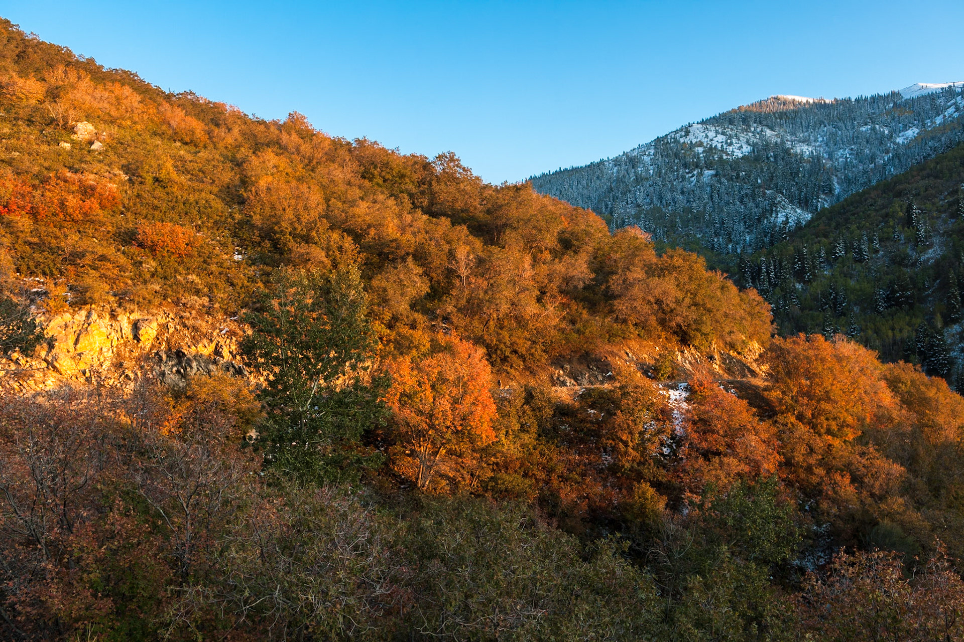 Fall at Wasatch National Forest, Wasatch Range, Utah, USA