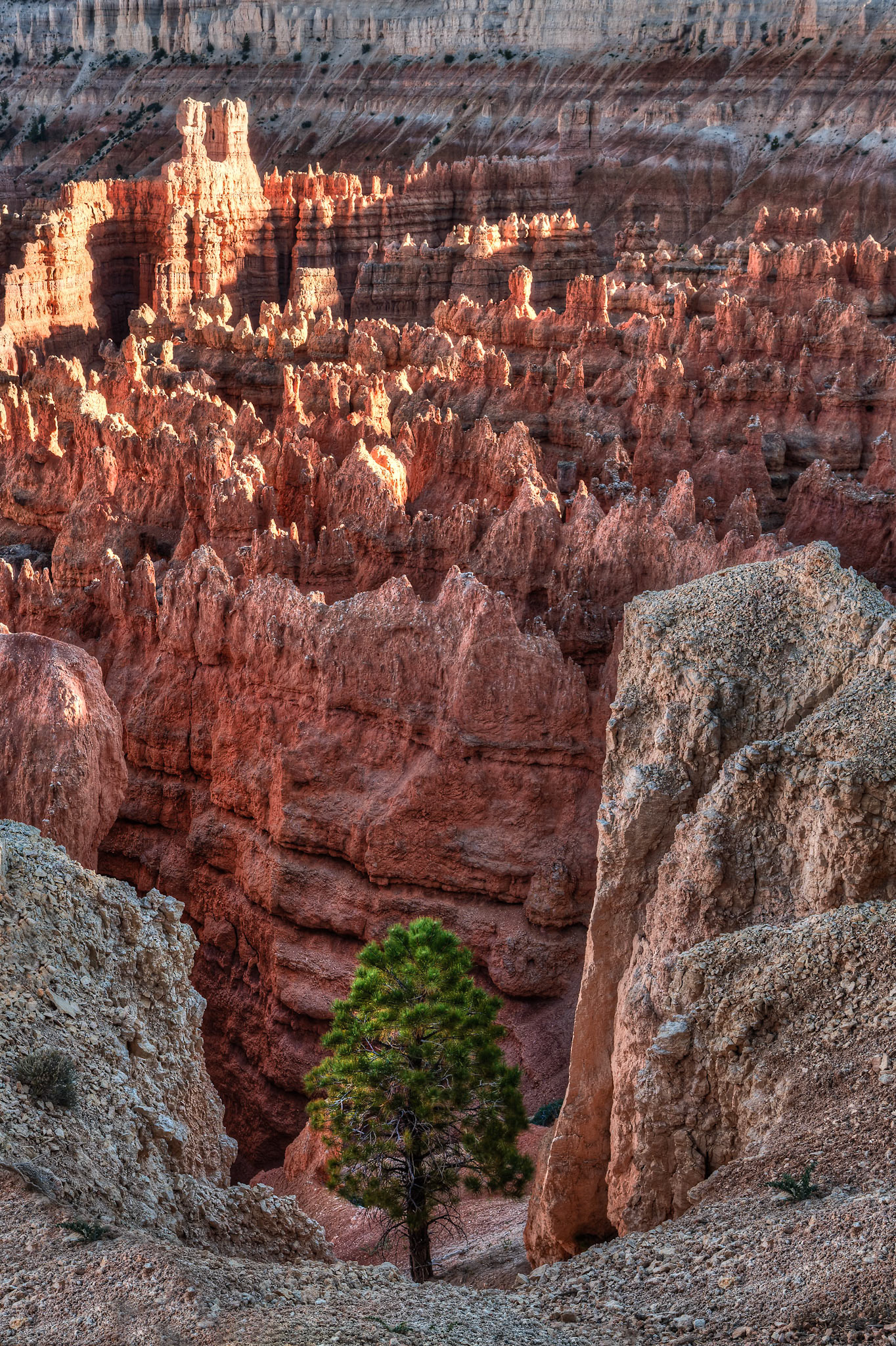 Bryce Canyon, Sunset Point, UT, USA