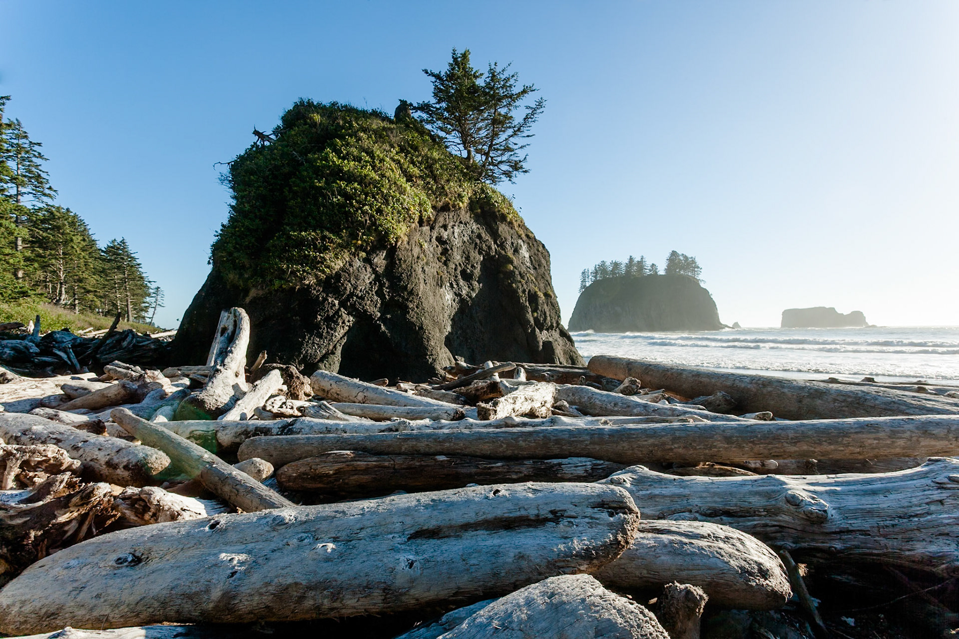 Driftwood at the beach at Olympic National Park, WA, USA