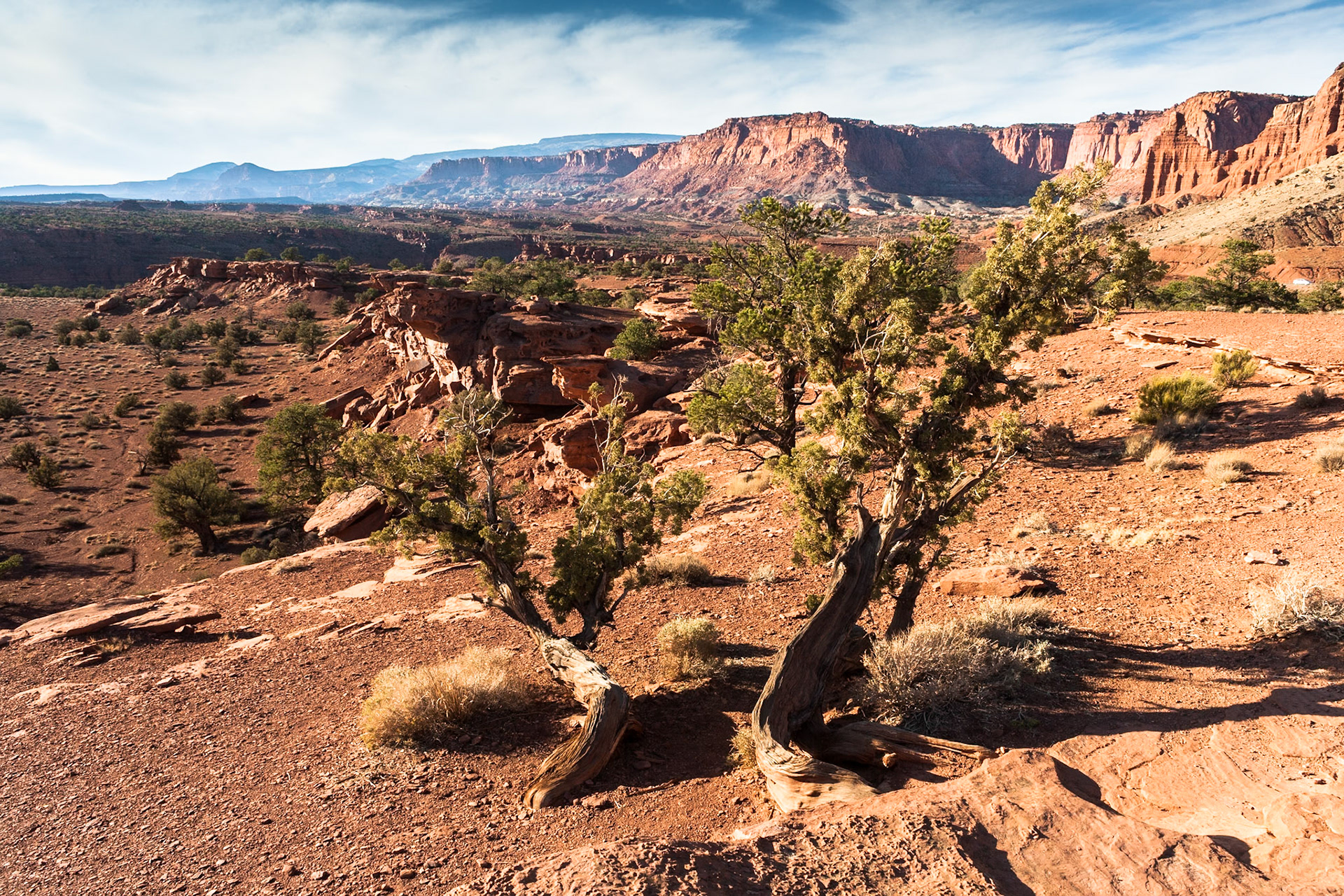 Capitol Reef Nat'l Park, Utah at Goosenecks point, Utah, USA