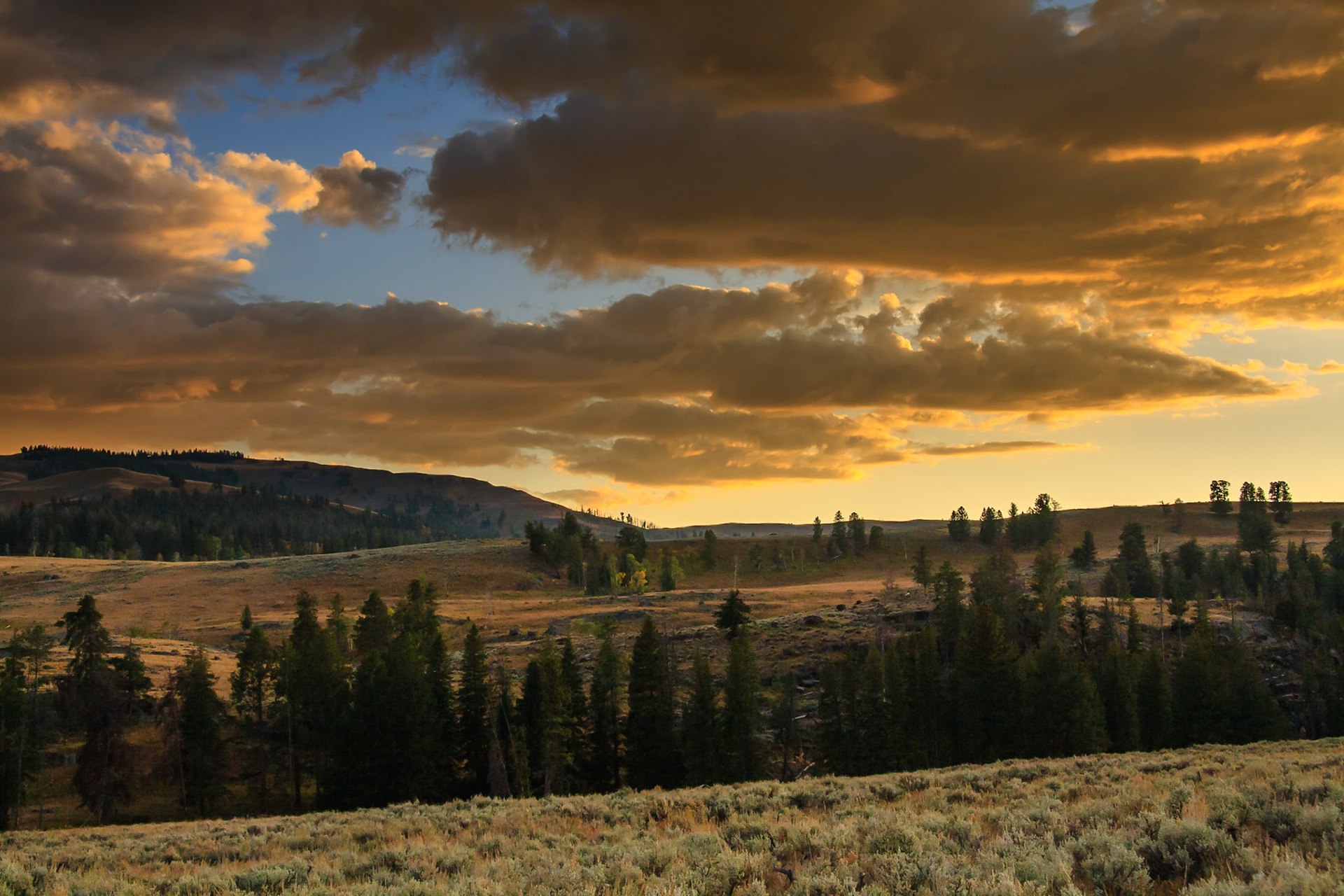 Sunset at Lamar Valley, Yellowstone Nat'l Park, WY, USA