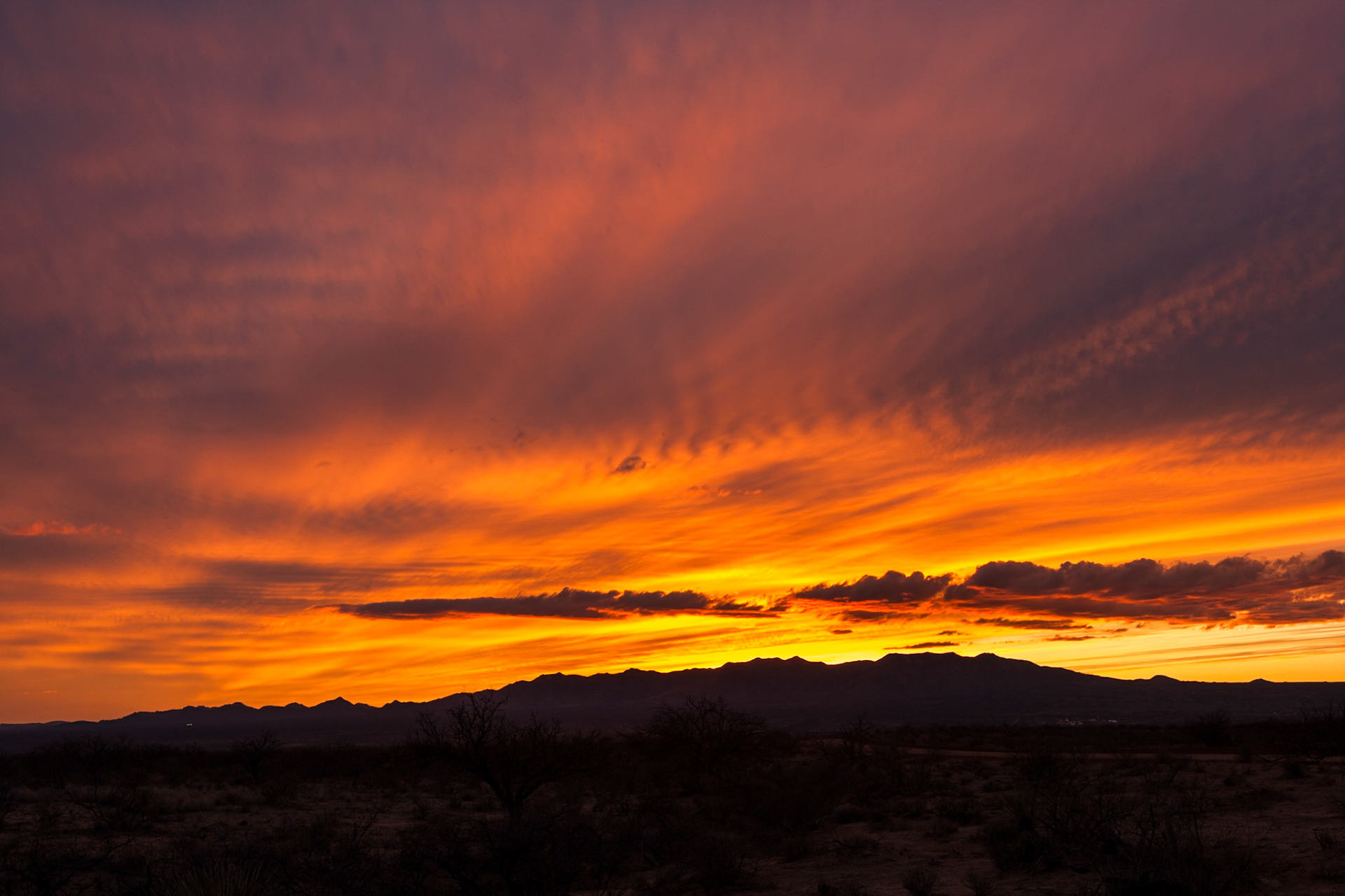 Sunset near St. David, Arizona, USA