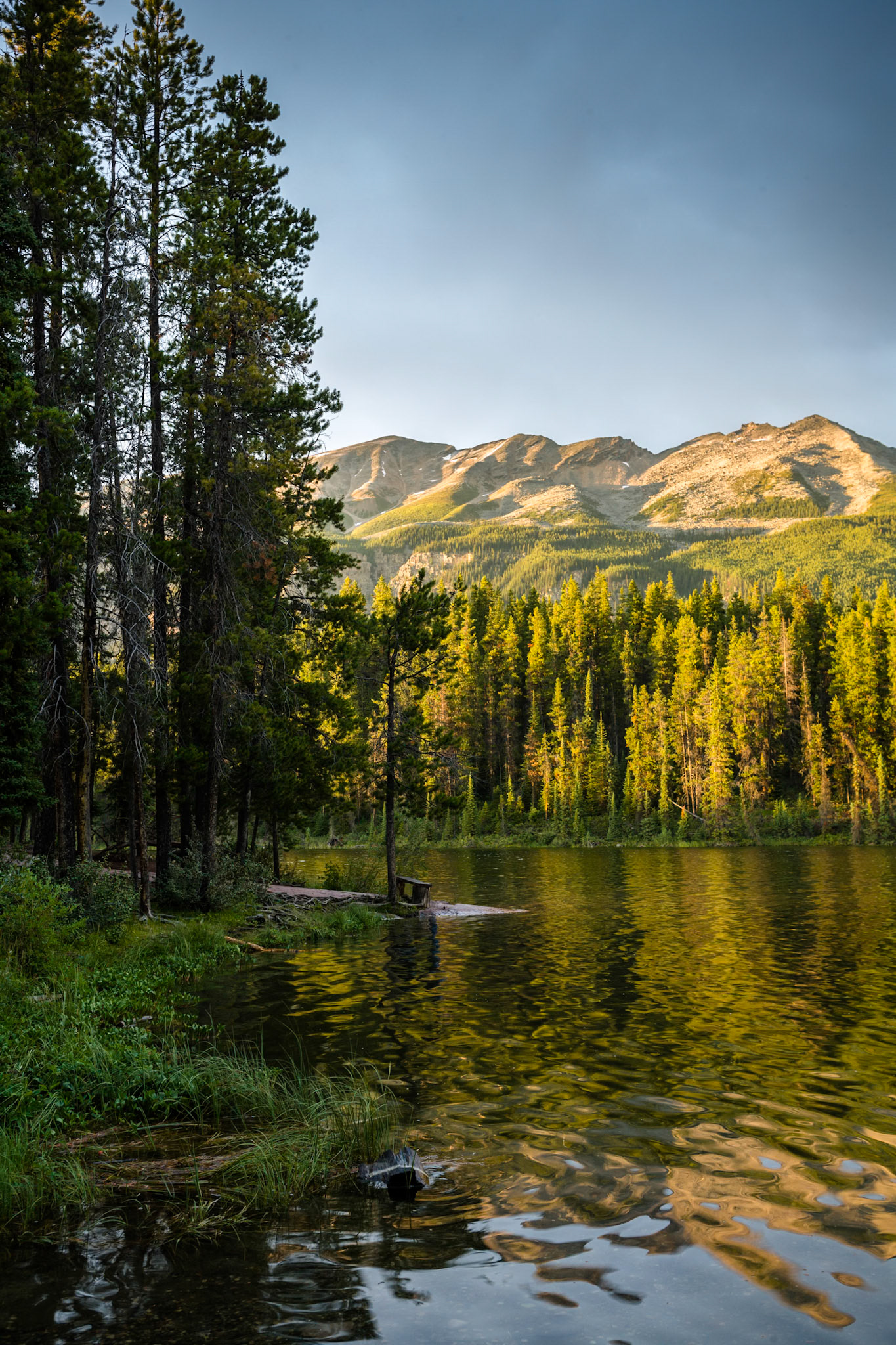 Honeymoon Lake, Jasper National Park, Alberta, CA