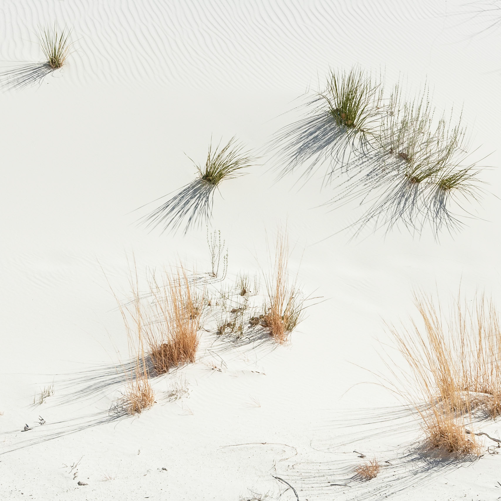 White Sand Dunes National Monument, New Mexico, USA