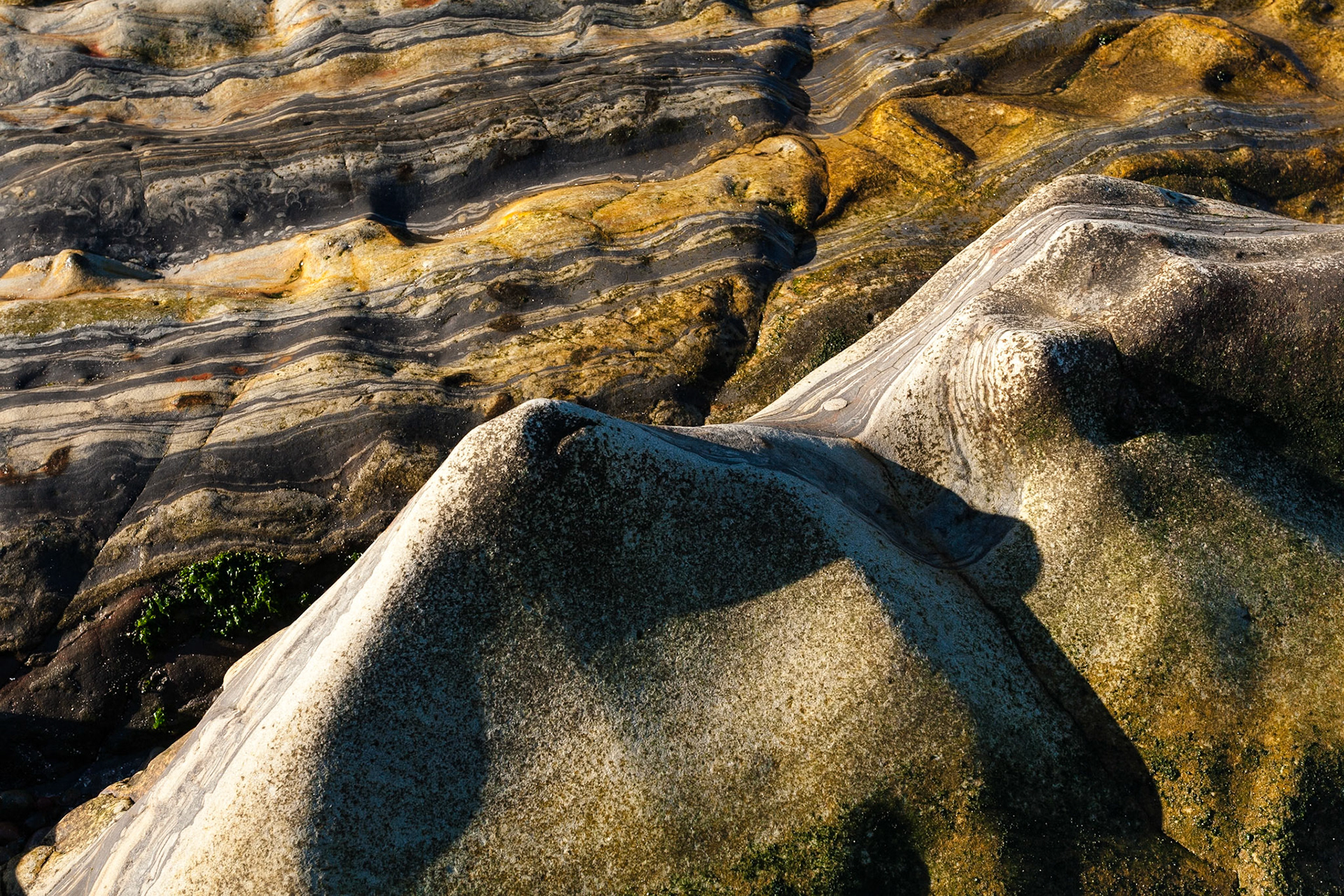 Rocks formed by the sea at Point Lobos State Reserve near Carmel, California, USA